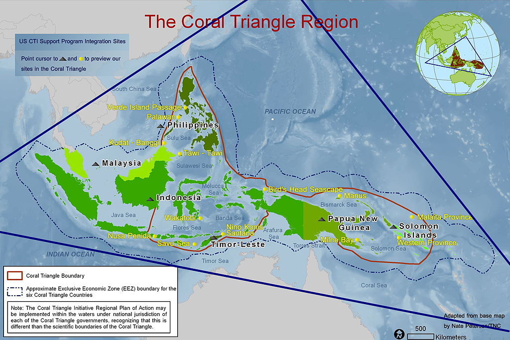 A map exhibiting the boundaries of the Coral Triangle.