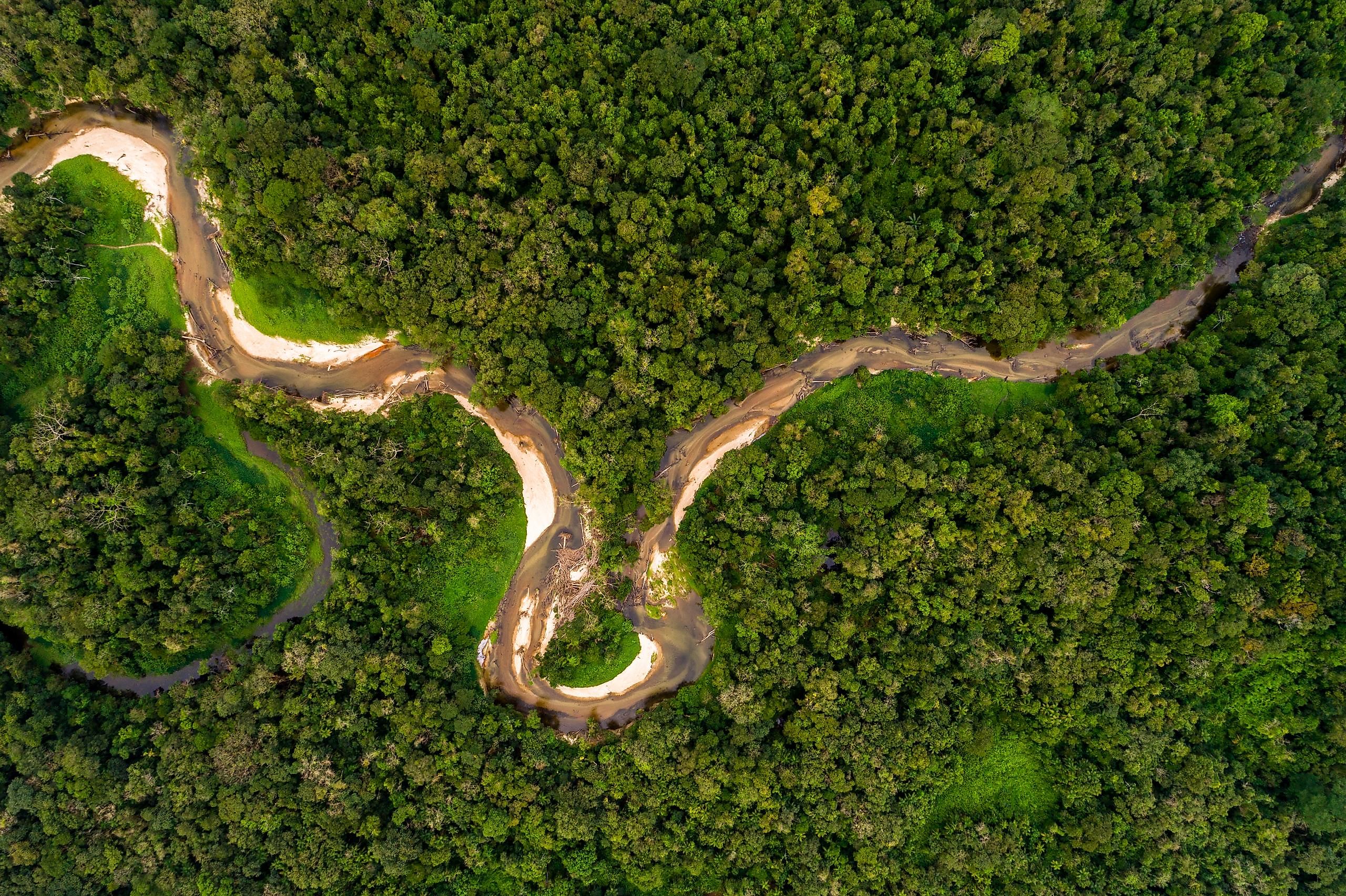 Aerial view of the vast Amazon Rainforest in Brazil. Image credit: Gustavo Frazao/Shutterstock.com
