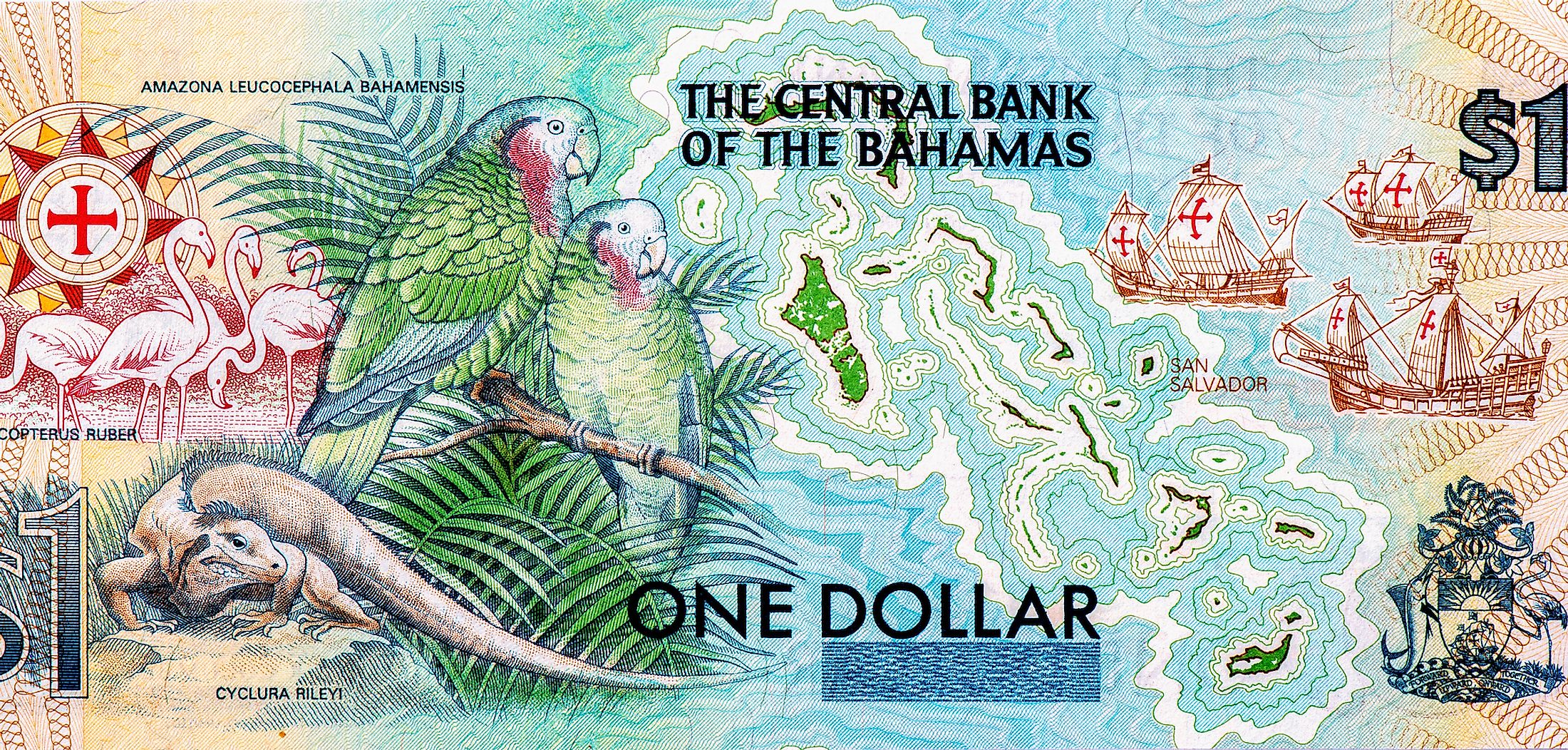 what-is-the-currency-of-the-bahamas-worldatlas