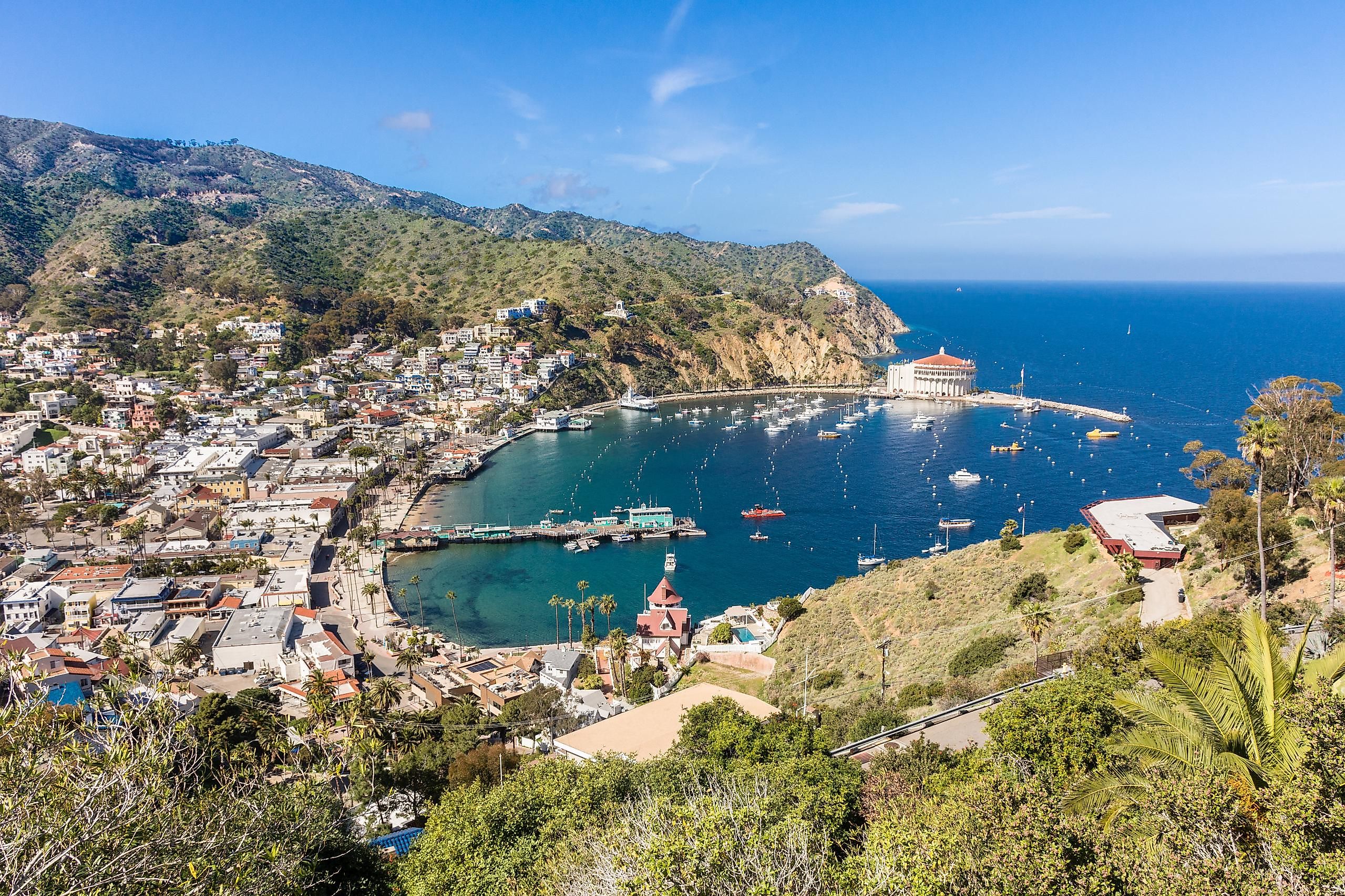 Aerial view of Avalon, California.