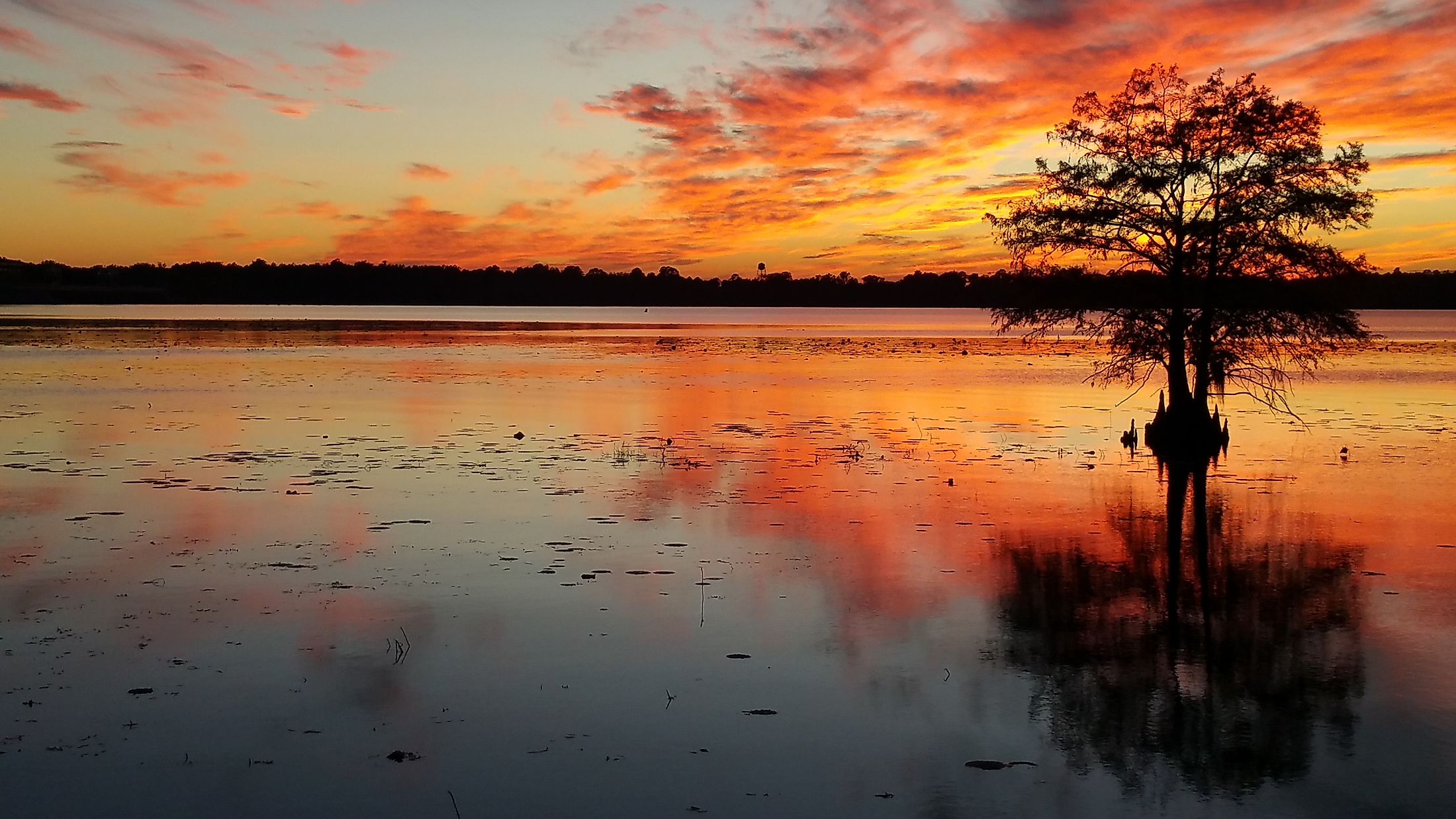 Sunset on Lake Seminole, Georgia.