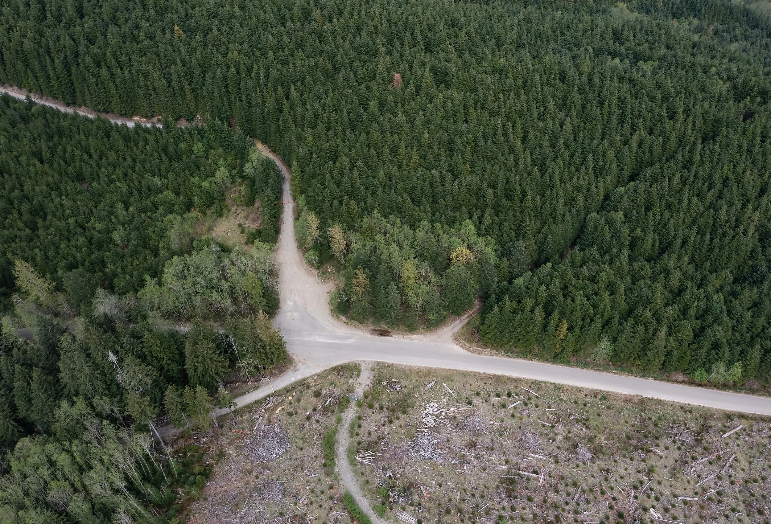 Aerial forest roads and logging clearings near Merrill Lake, Washington.