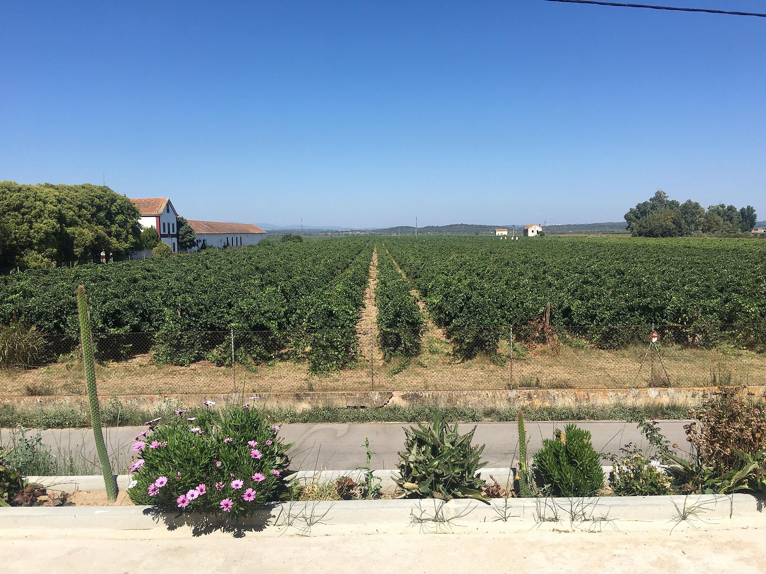 A quiet spot for a break along the Camino Portugués. Photo: Andrew Douglas