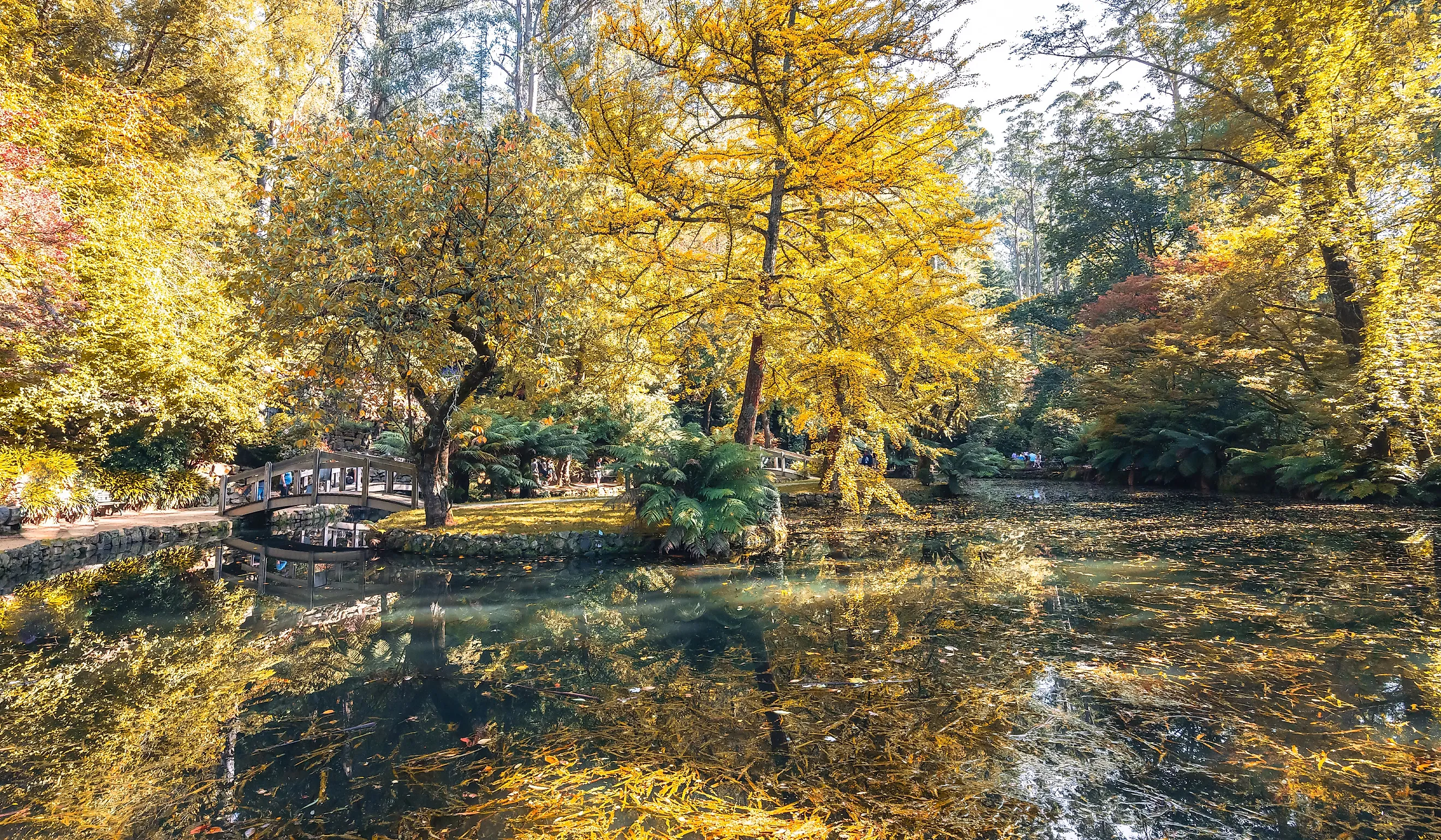 Alfred Nicholas Memorial Gardens on a warm sunny autumn day 
