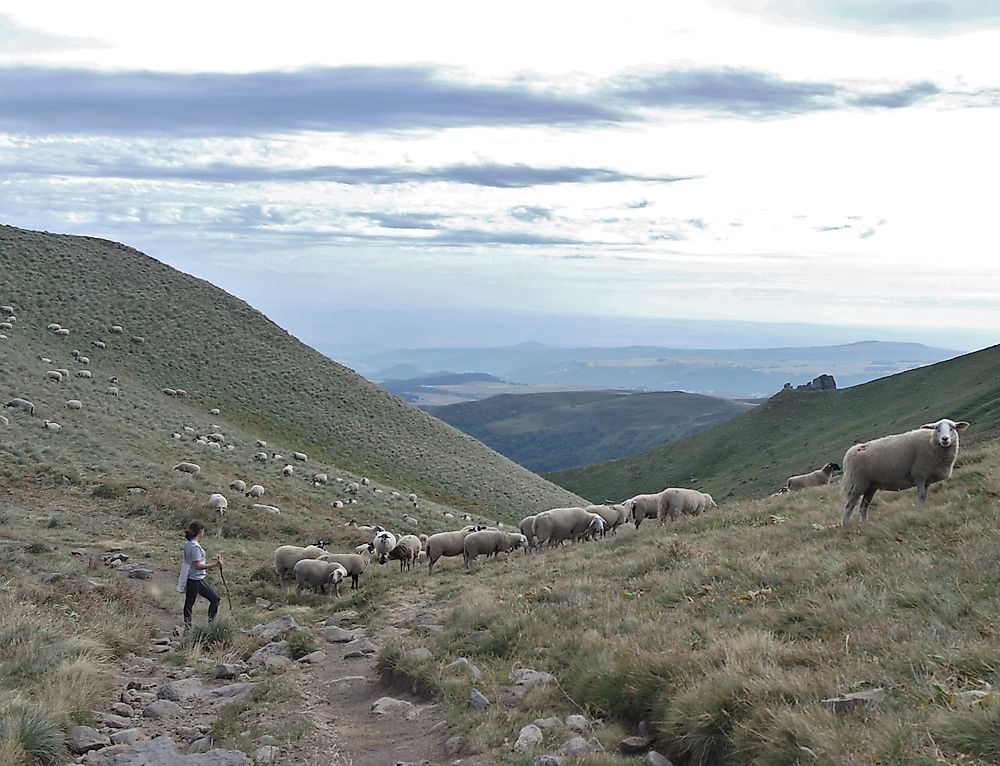 Auvergnat is spoken only in the small region of Auvergne, known for its mountainous pastures.