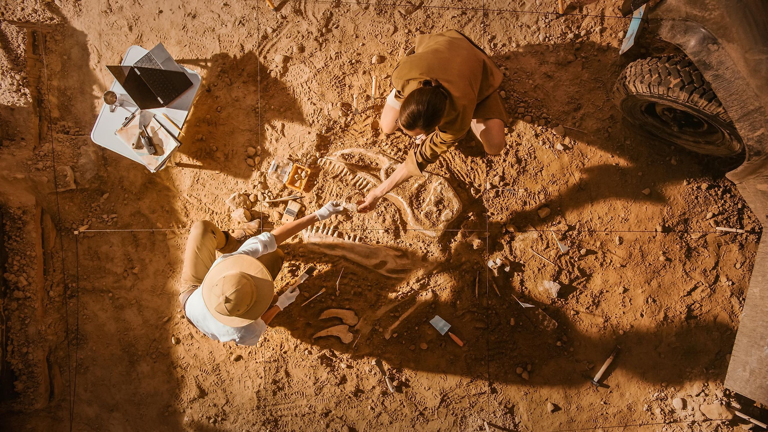 Archeologists digging out ancient bones from the ground.