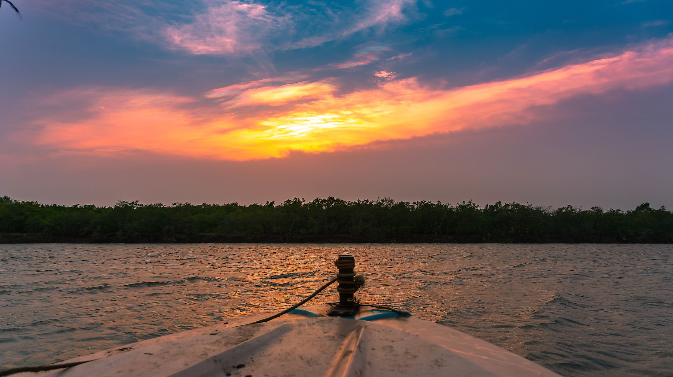 Mangroves along the Bay of Bengal coastline in India.