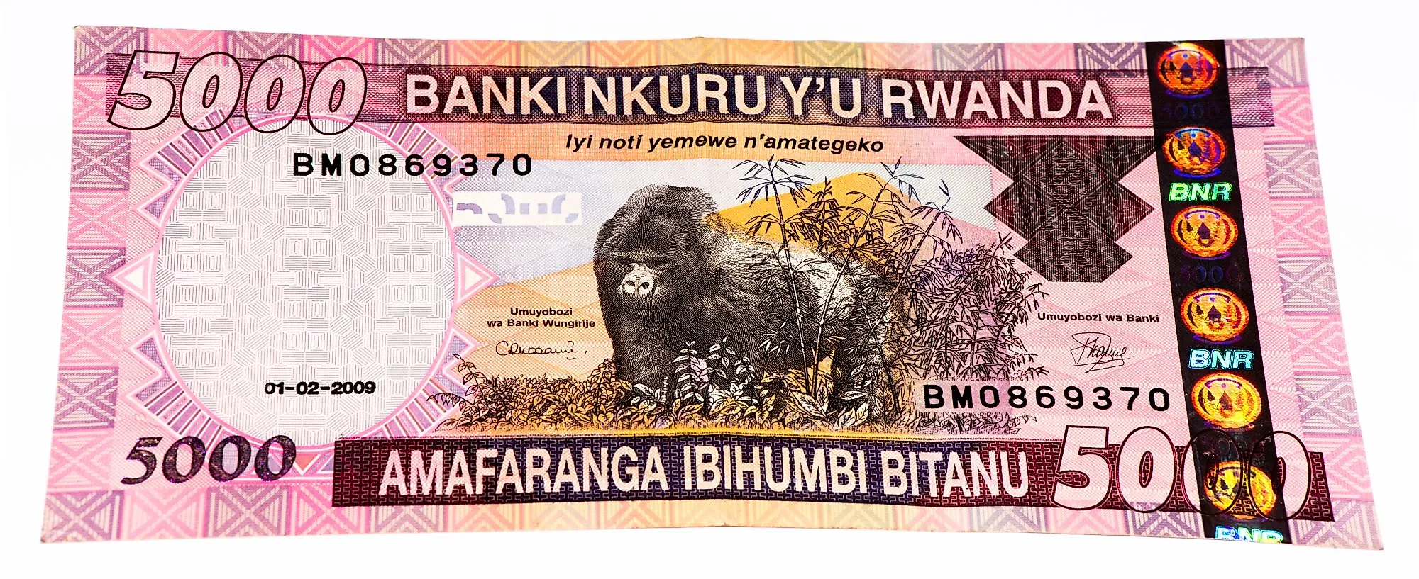 Expo 2024 Rwanda Currency Bliss Chiquia