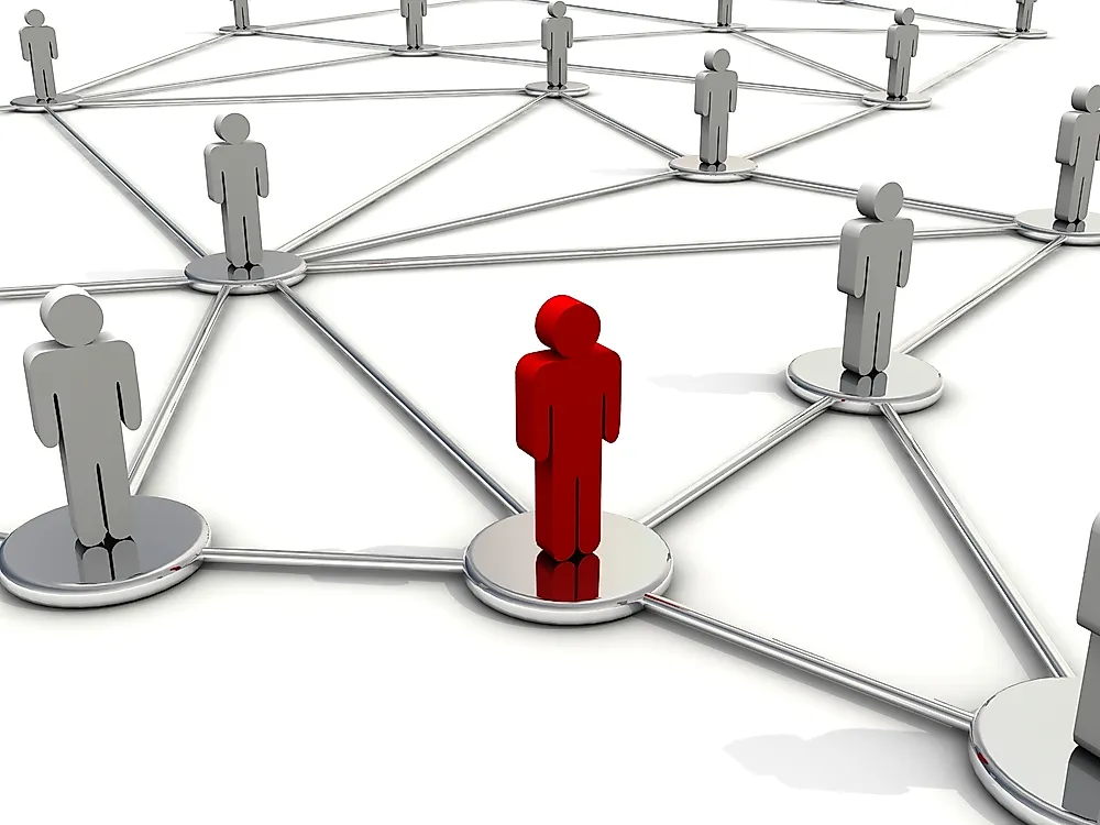 Habitus is influenced by social capital, the network of relationships an individual has.