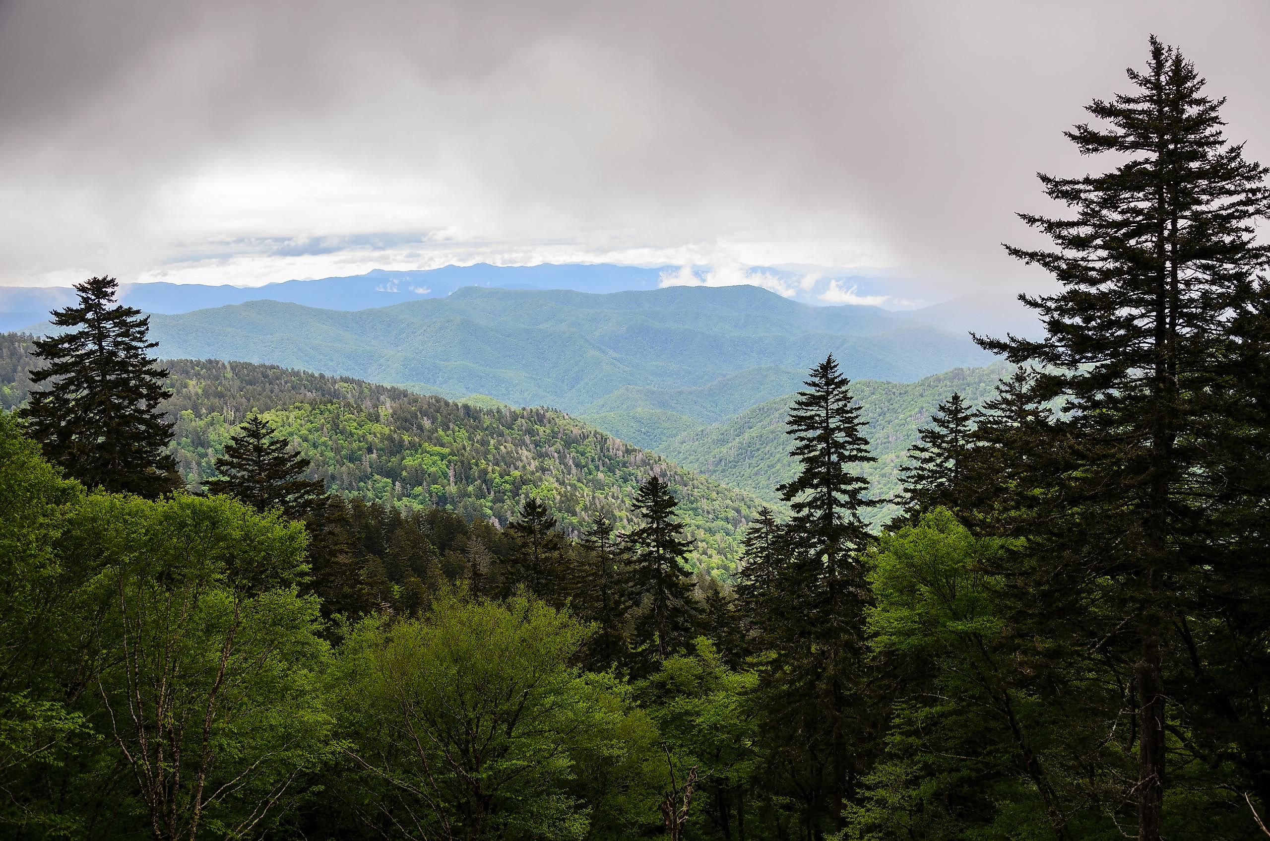 Great Smoky Mountains National Park showcasing its abundance of natural and protected forest.