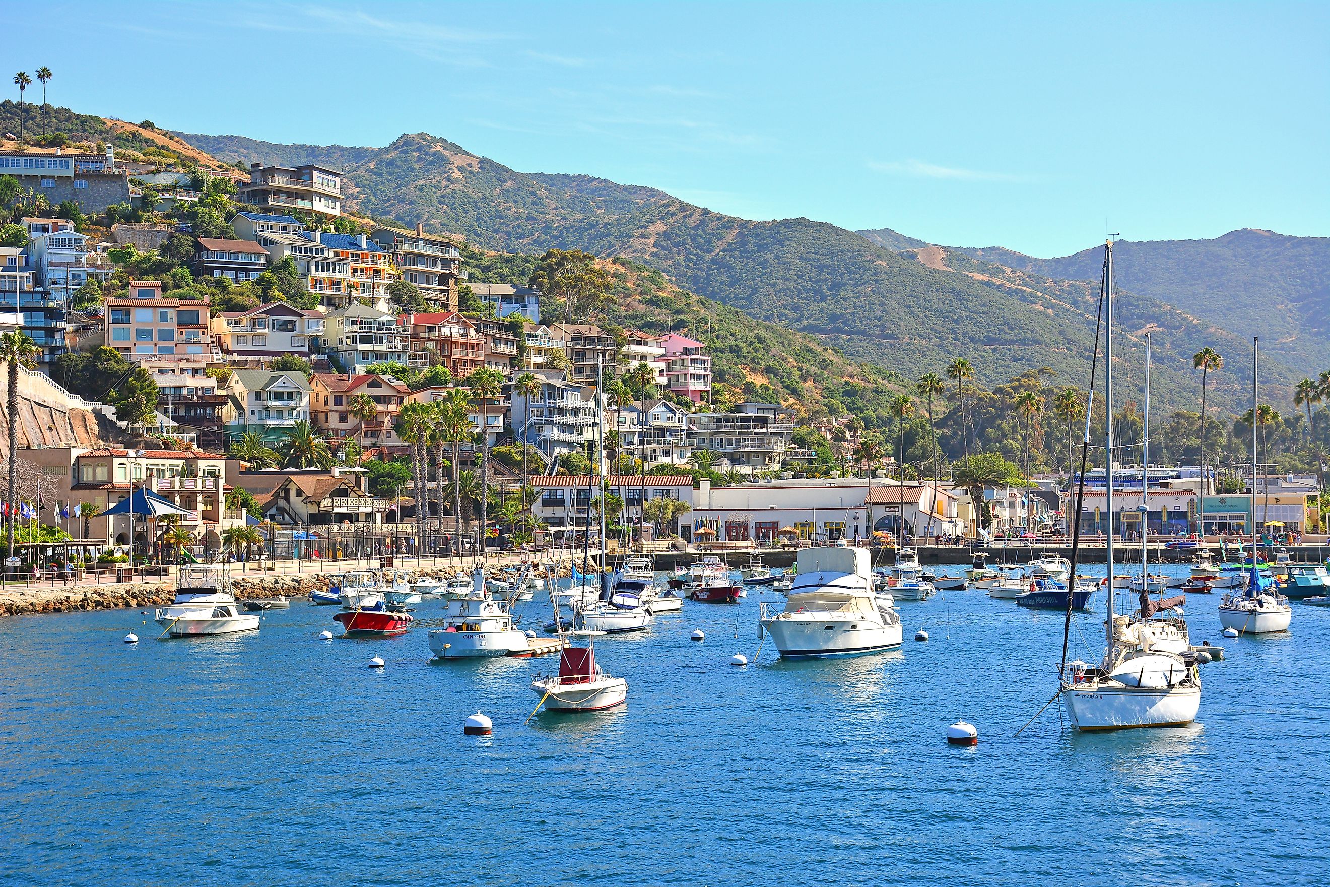 Boats in Avalon, California 