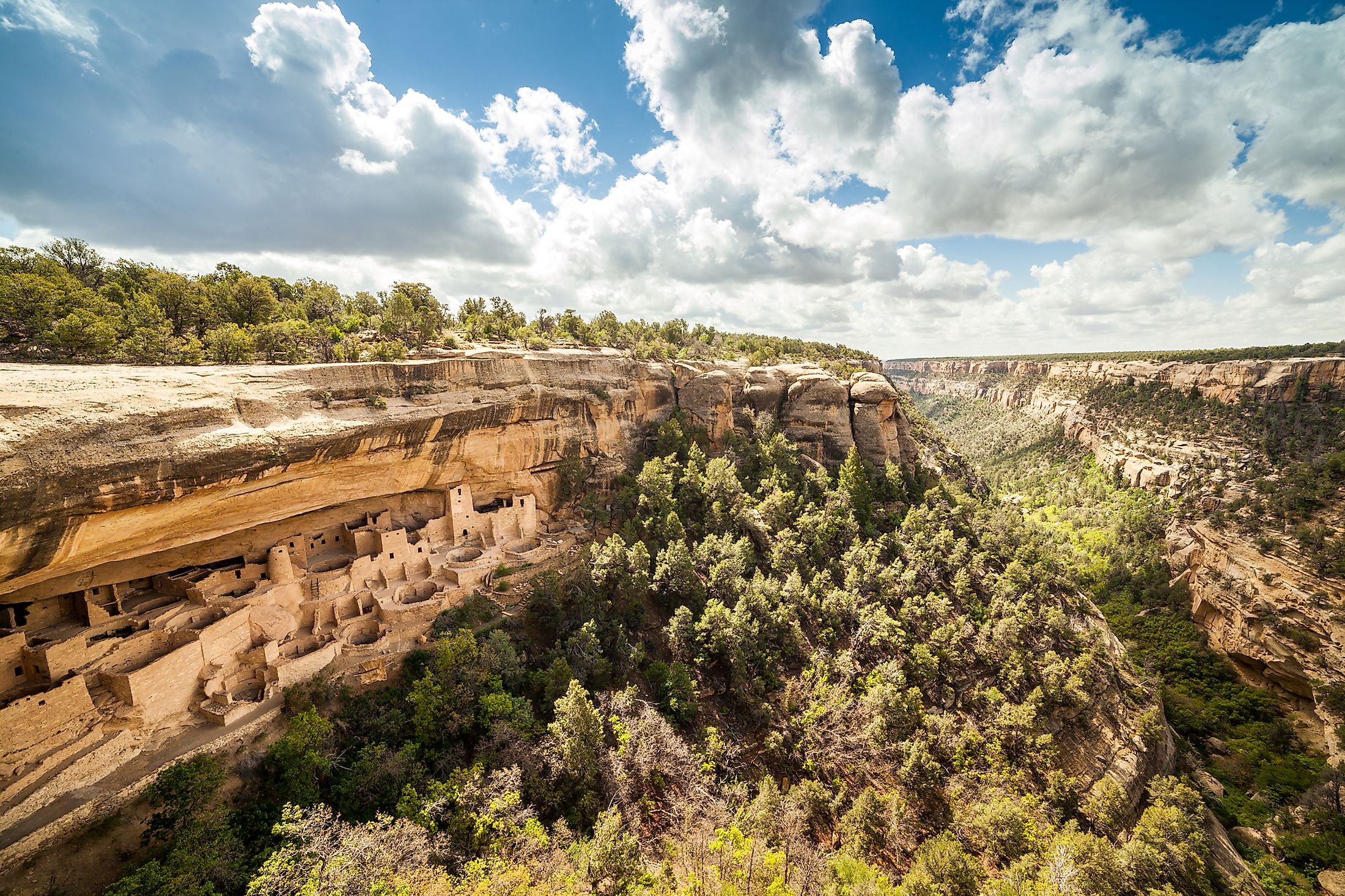 Cliff dwellings in Mesa Verde National Parks, Colorado, USA