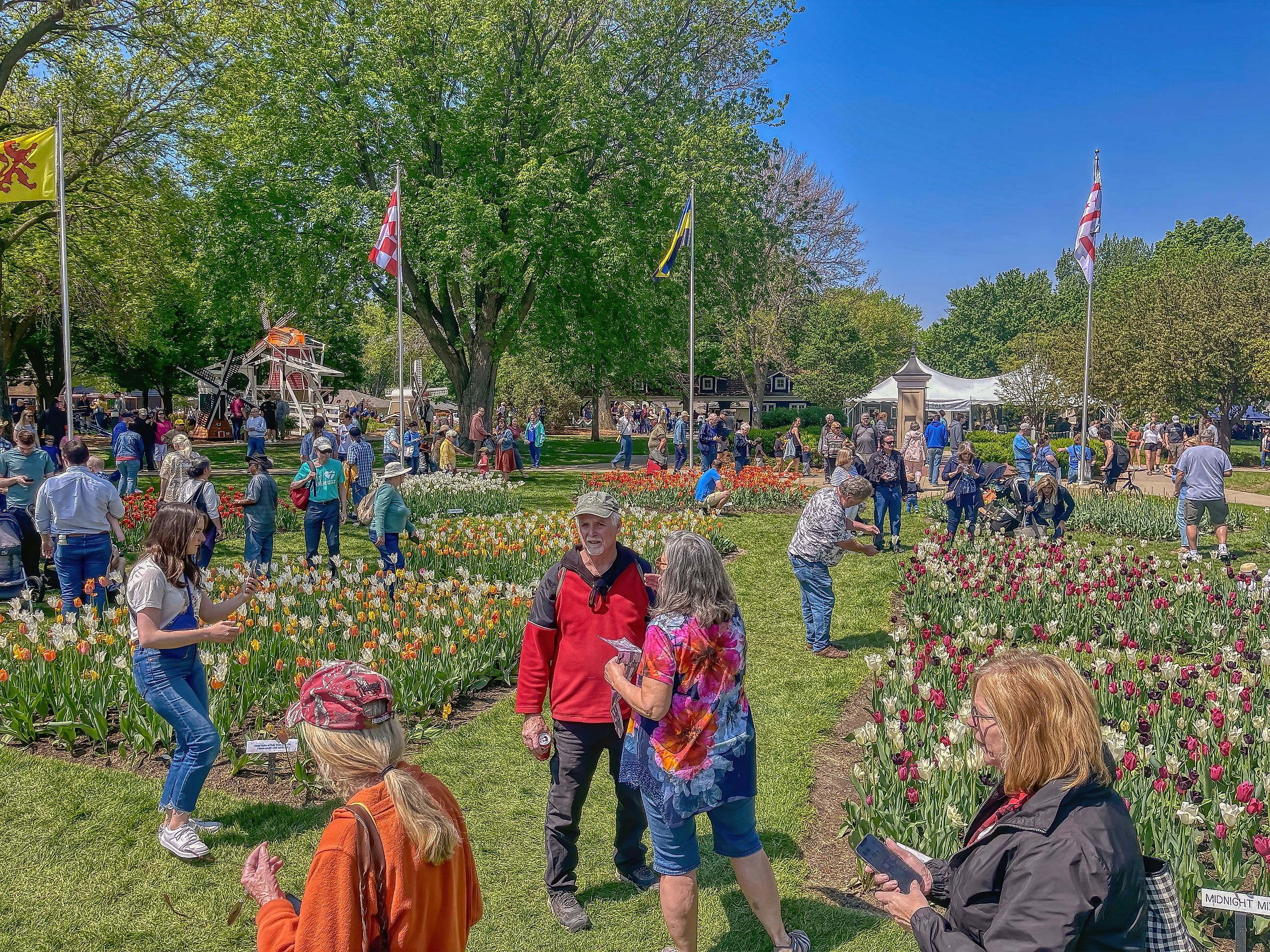 Annual Tulip Festival in Orange City, Iowa. Image credit Jacob Boomsma via Shutterstock