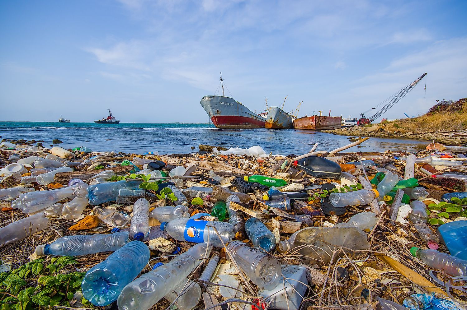 Plastics strewn along the coast in the Panama Canal region. Image credit: Fotos593/Shutterstock.com