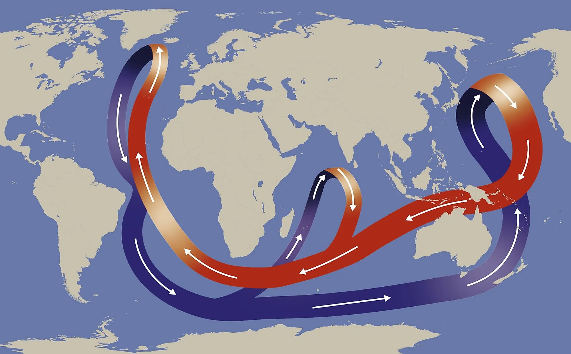 The Thermohaline Circulation, often called the Global Ocean Conveyor Belt. Via Shutterstock / Nicholas Primola