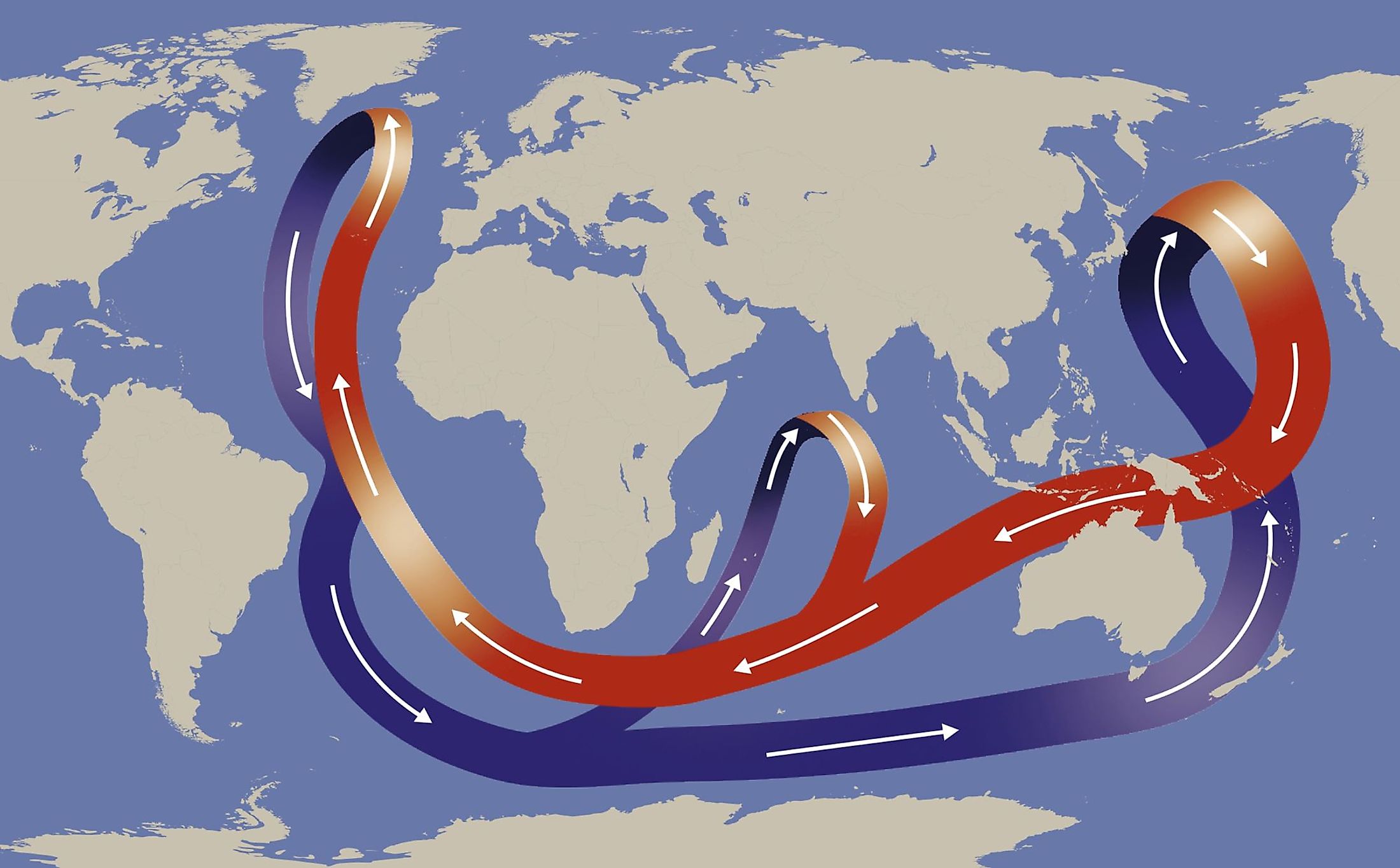 The Thermohaline Circulation, often called the Global Ocean Conveyor Belt. 