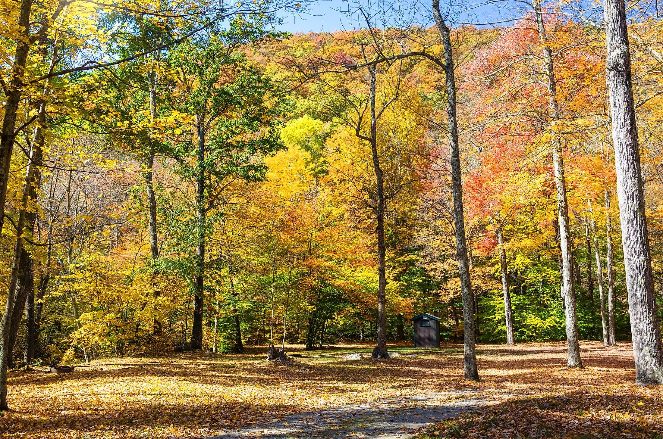 Recreation Area in forest with colorful wooded hills in the background on a sunny autumn day in Kent, Connecticut