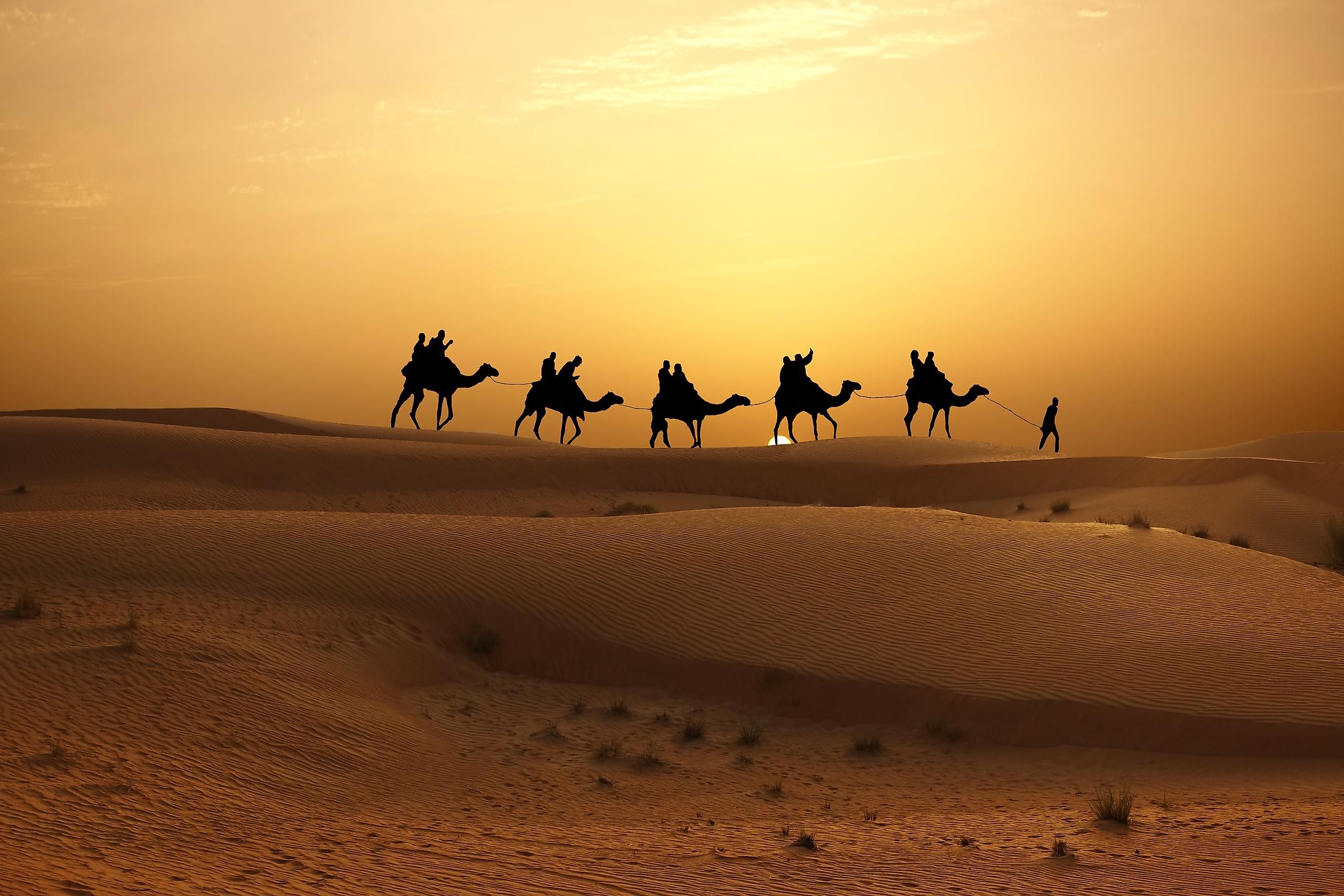 A camel caravan on sand dunes in the Arabian Desert. Image credit: Eviart/Shutterstock