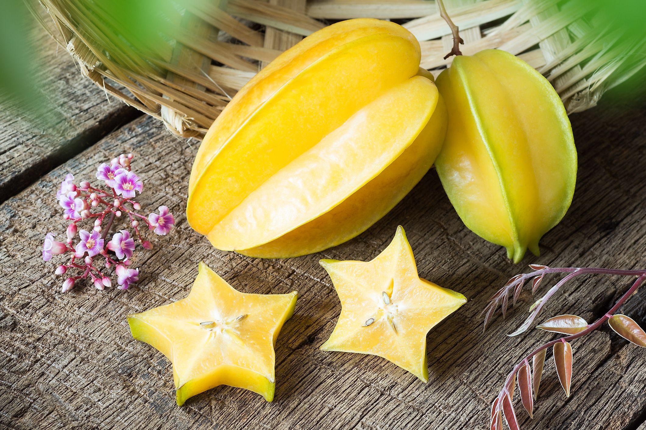 Starfruit is one of the many plant types found in Kazakhstan.