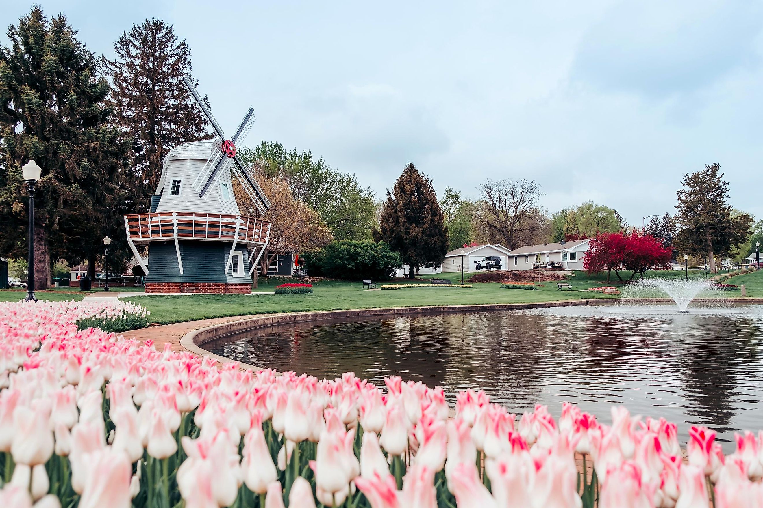 Tulips and windmills in Pella, Iowa.