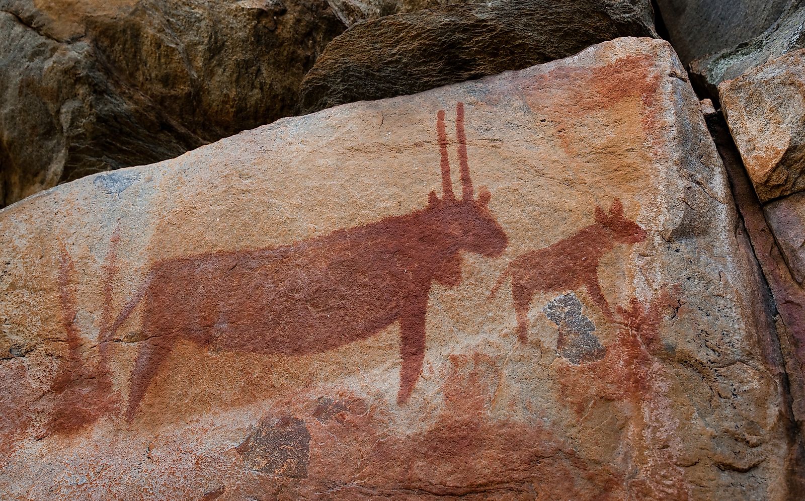 Tsodilo rock art.