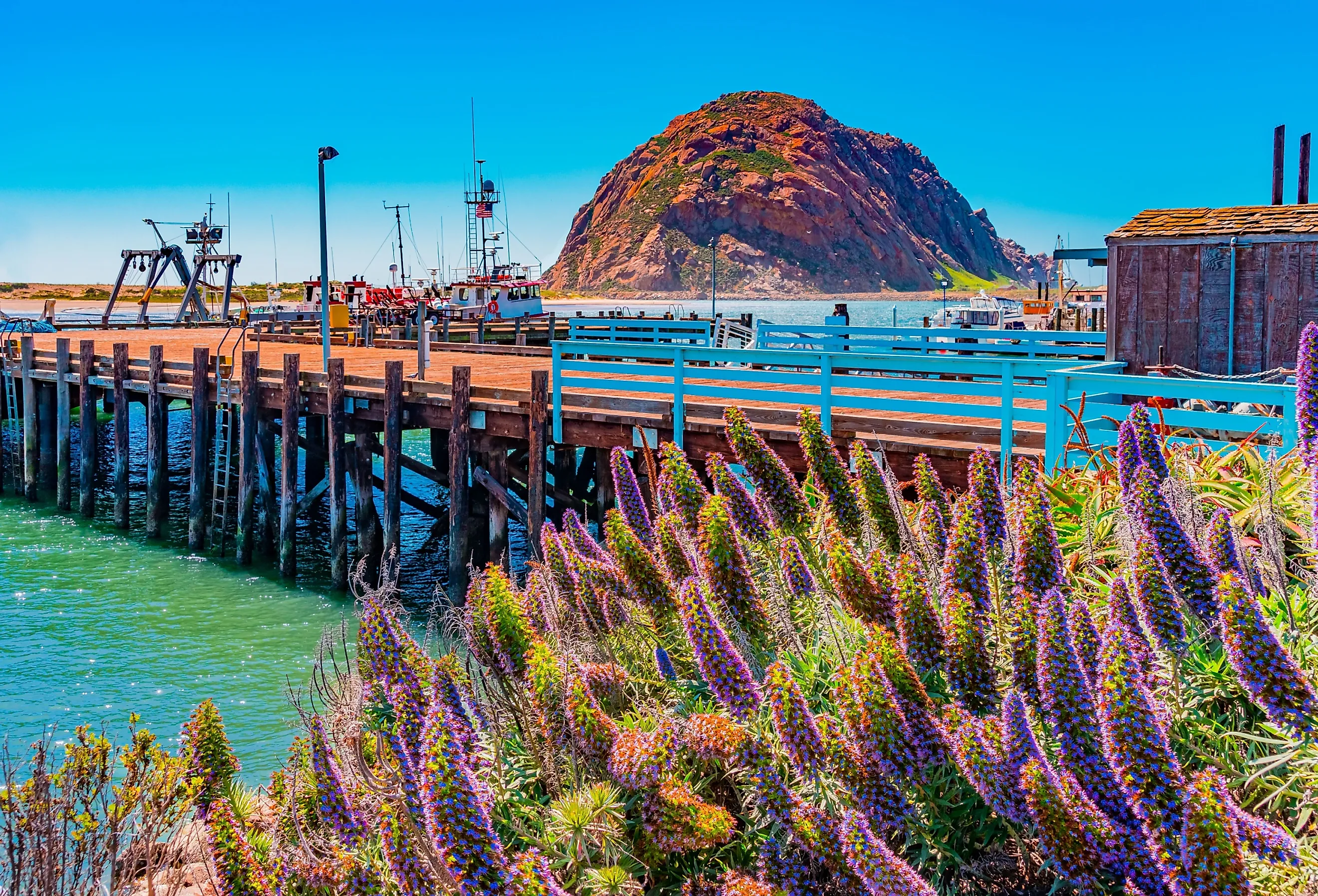 Breathtaking Morro Rock juts up out of the Morro Bay in San Luis Obispo County in California.