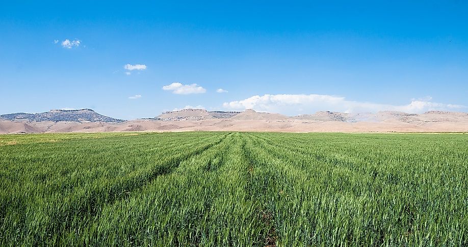 As agriculture, especially the raising of wheat and barley, developed in the fertile river valleys of the Middle East and West Asia, great civilizations followed in the wake.