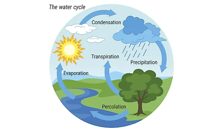 The water cycle serves to filter and replenish the water that sustains life on earth.