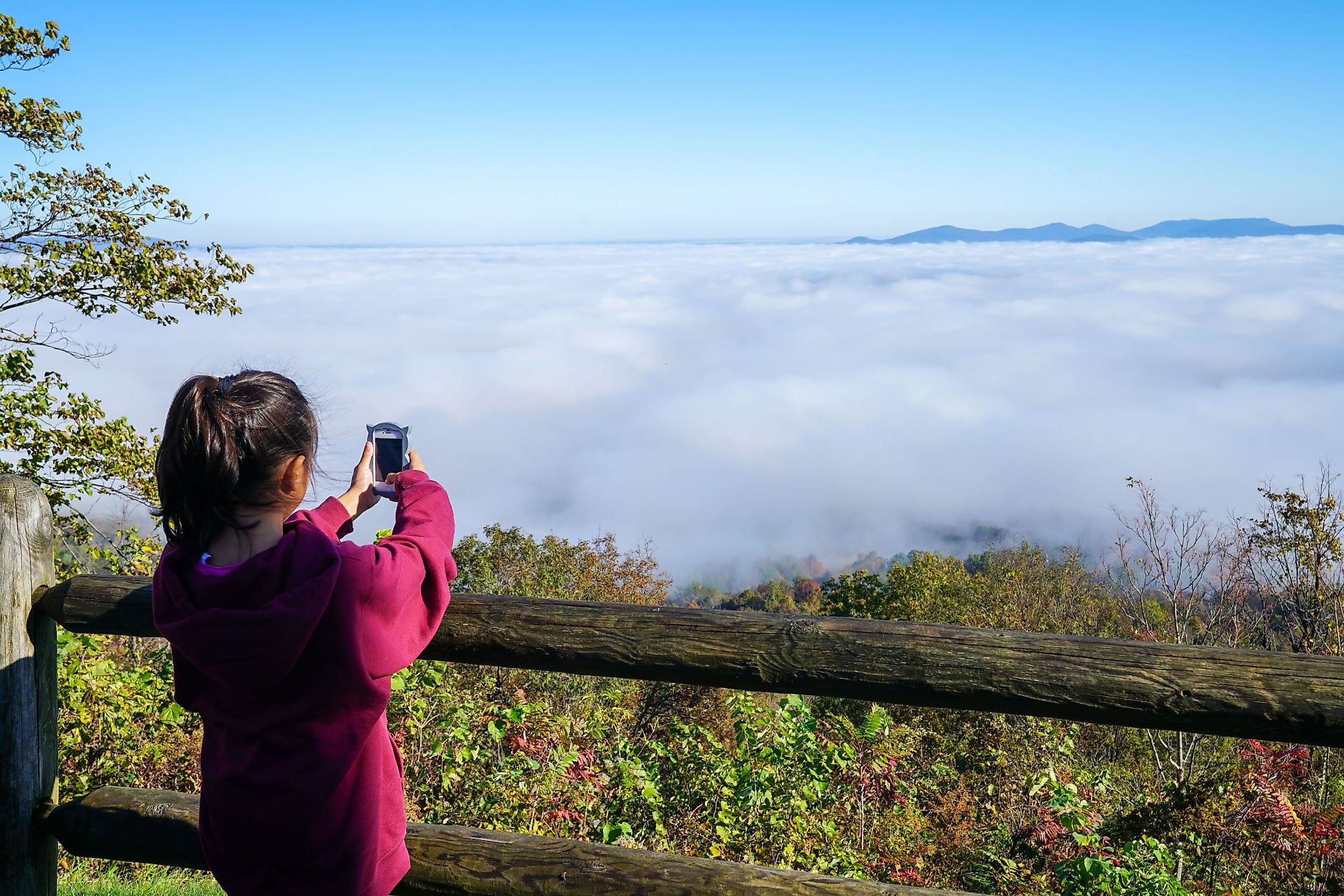 A girl taking a photo overlooking the Grand Canyon of Arkansas along Scenic Byway 7