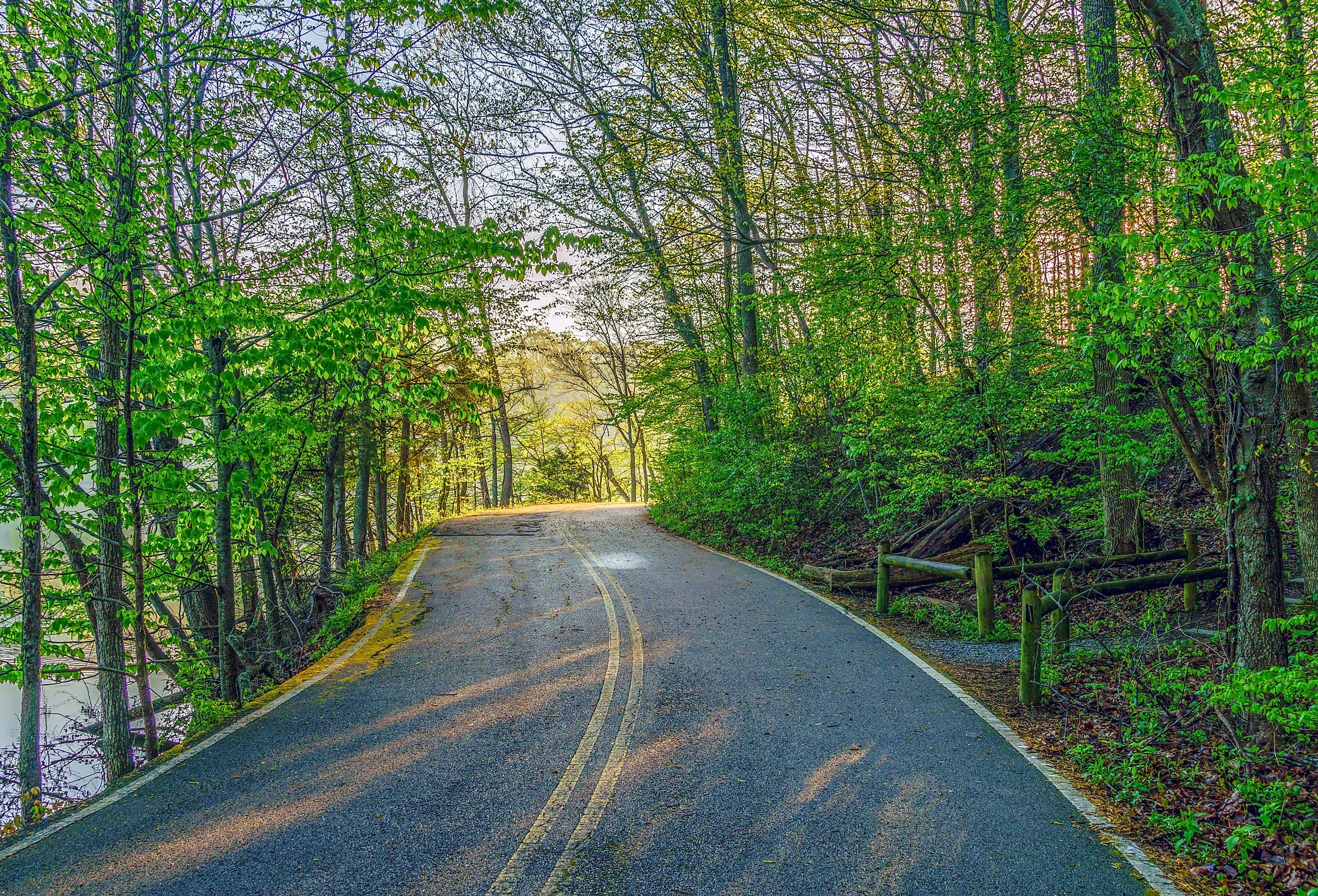 Road on the edge of Radnor Lake near Nashville, Tennessee. Image credit John via AdobeStock.