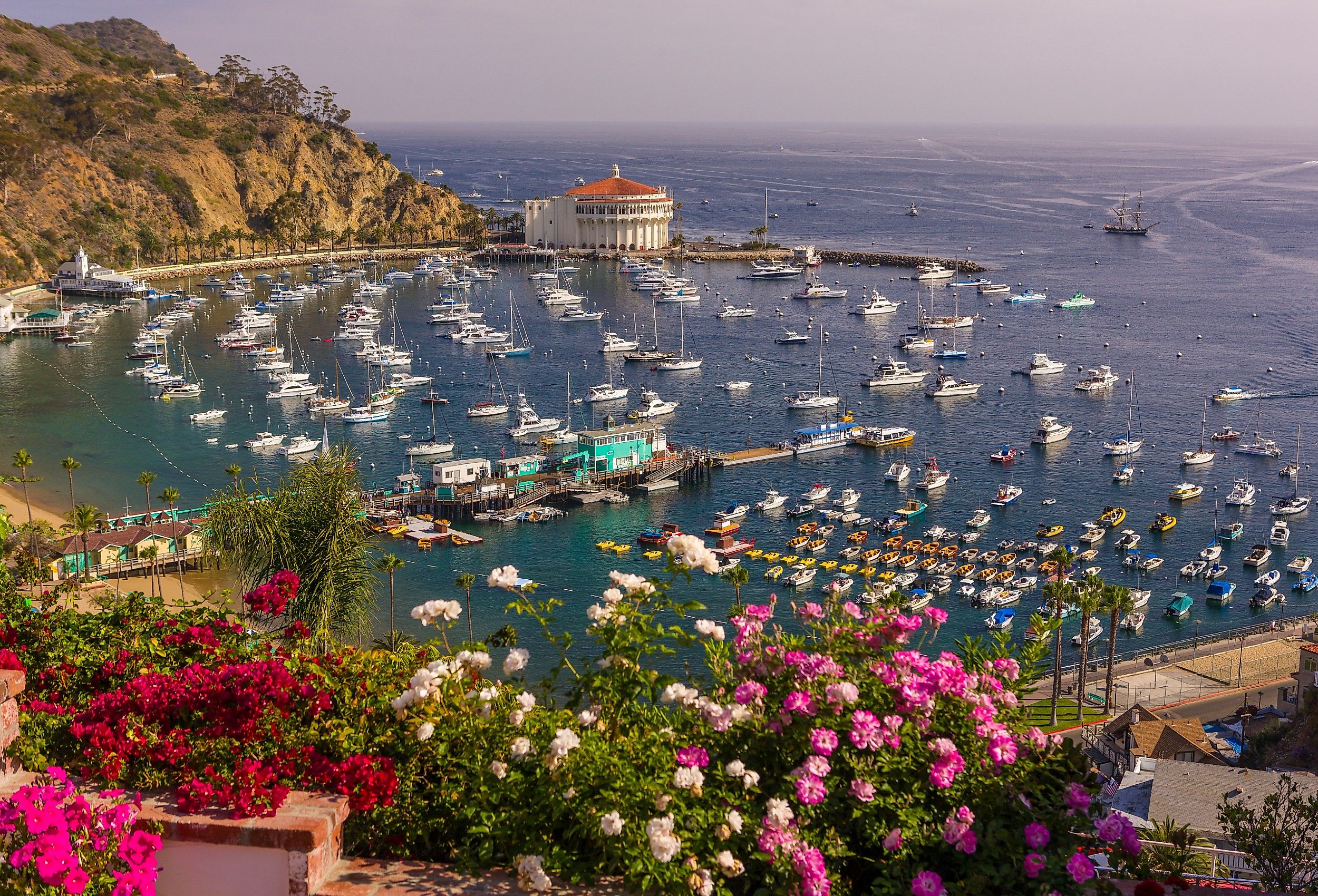 Flowers, harbor and Casino in town of Avalon, Santa Catalina Island, California.