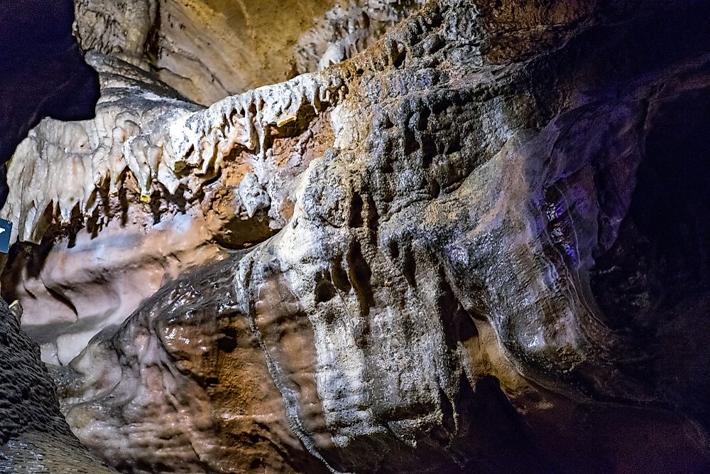 The natural habitat of the Tennessee cave salamander is in a cave.