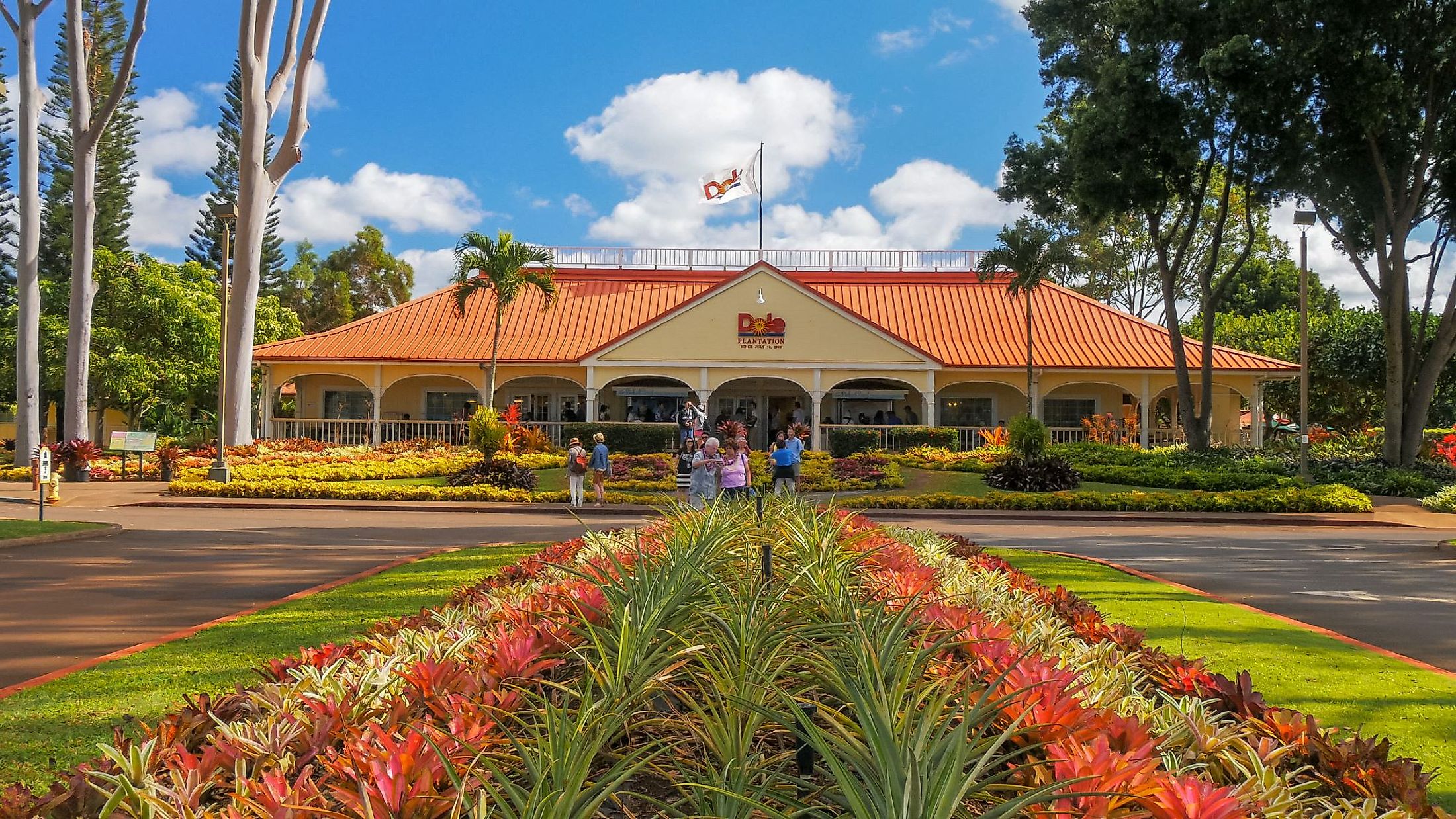 A view of the dole pineapple plantation at Mililani, Hawaii. Editorial credit: crbellette / Shutterstock.com