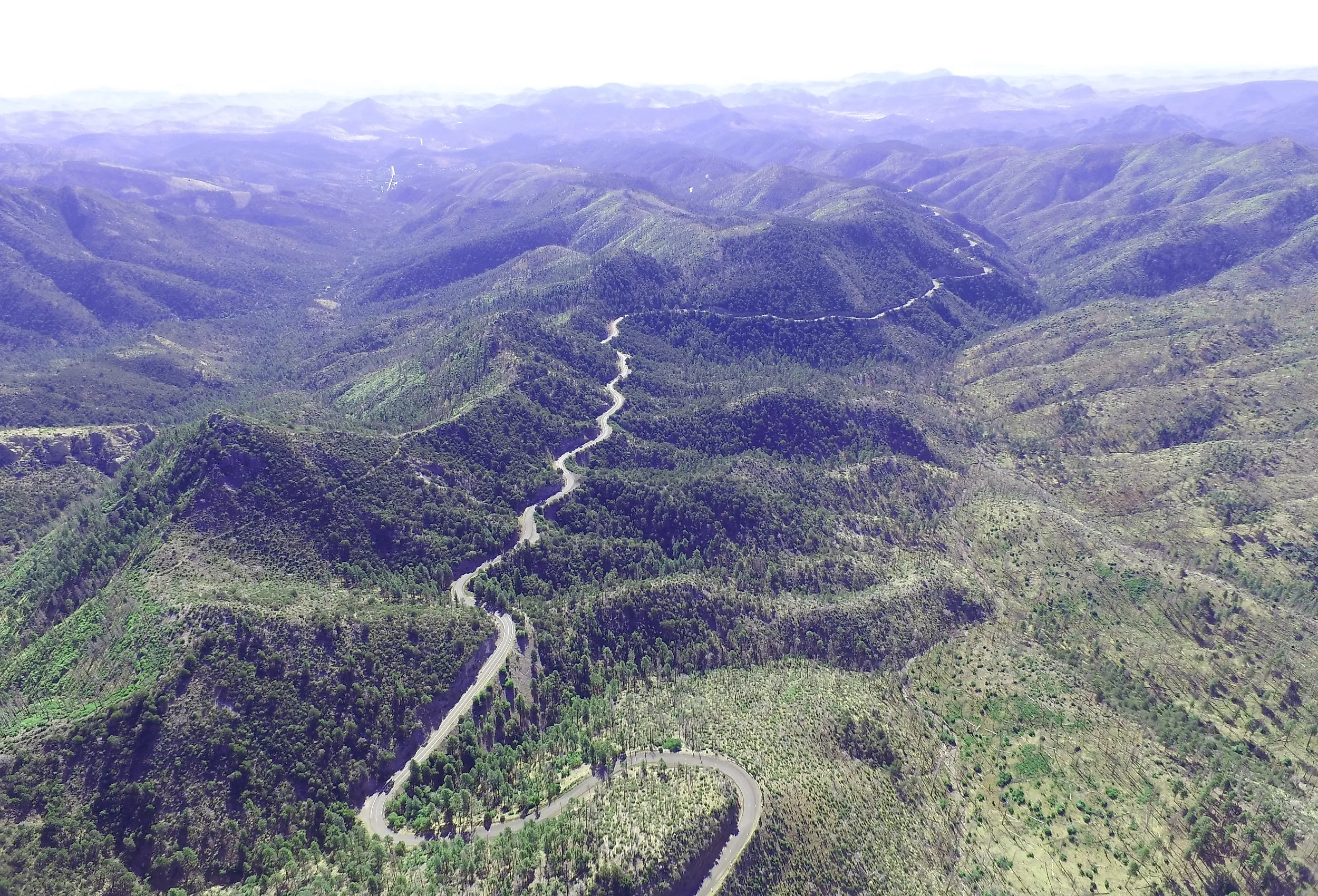 Black Range, New Mexico Pass, Geronimo Trail National Scenic Byway.