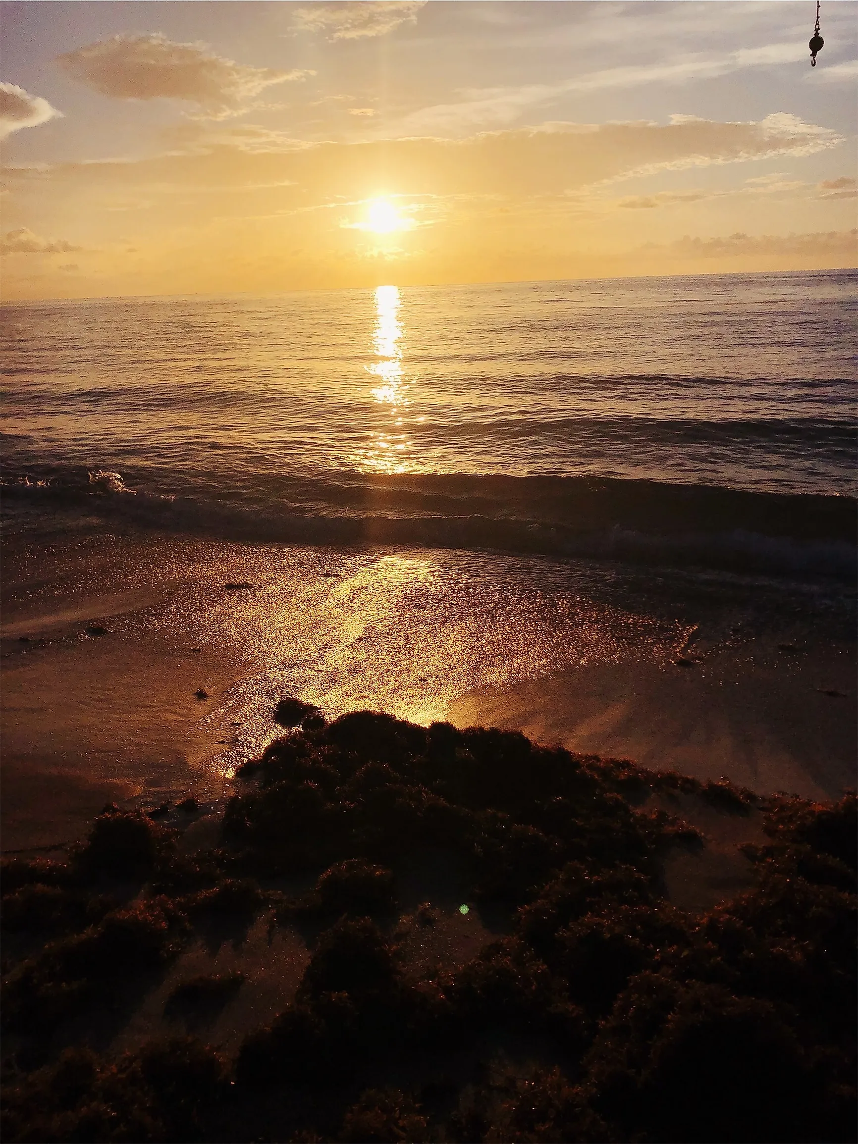 Sunrise along the beach in Manalapan, Florida. Editorial credit: Jessica Peoples via Shutterstock.com