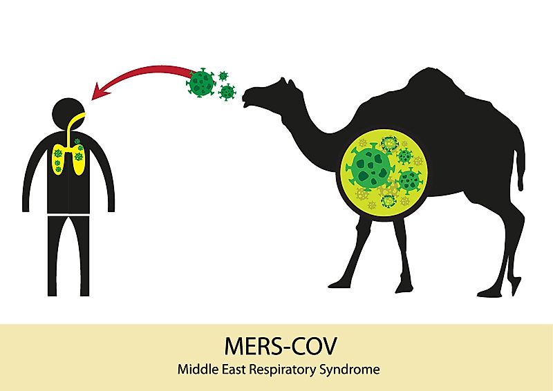 This virus emerged in 2012 in Saudi Arabia.