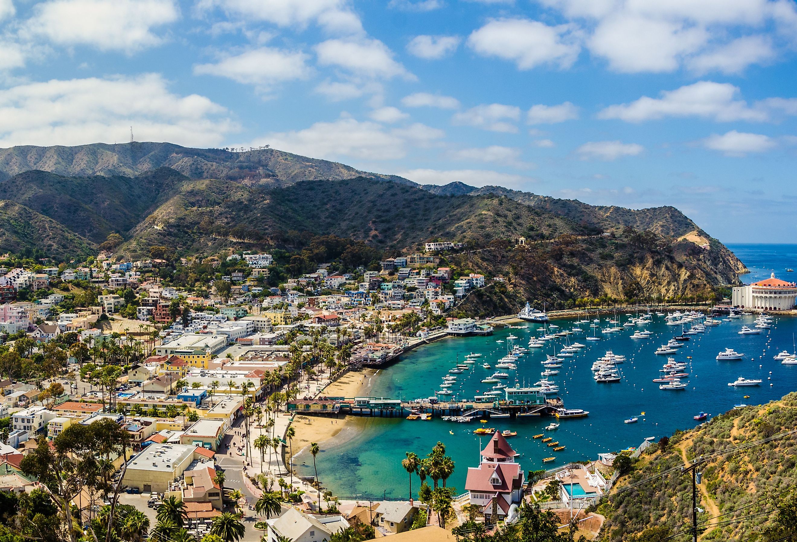 Santa Catalina Island, California.