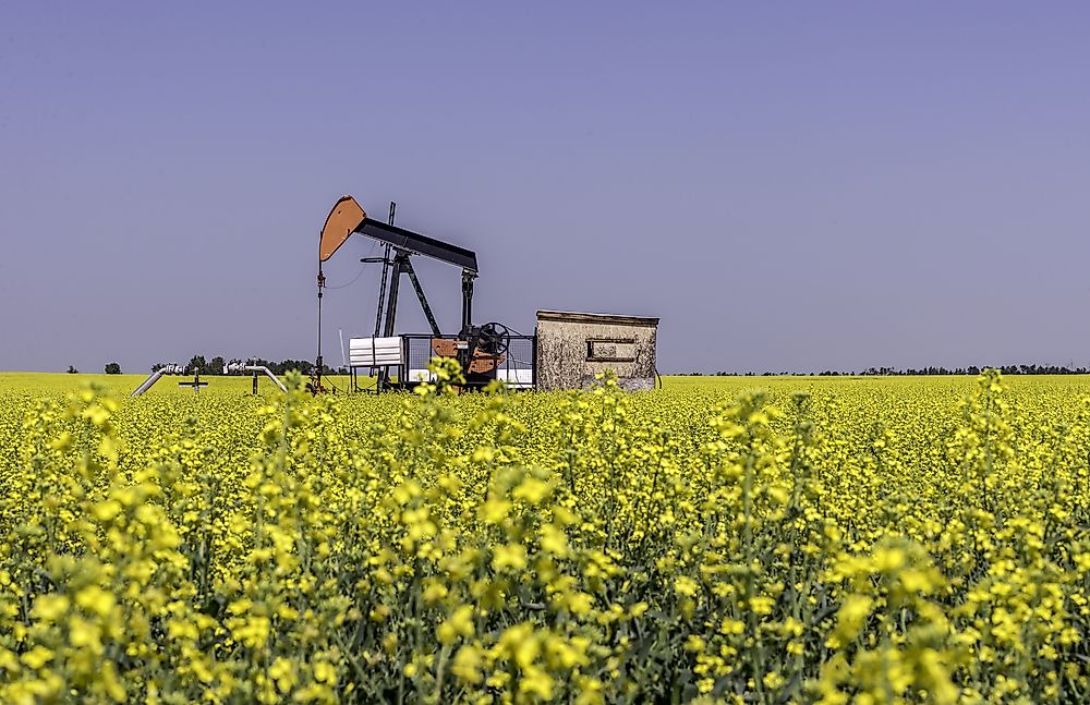 An oil field in Texas.