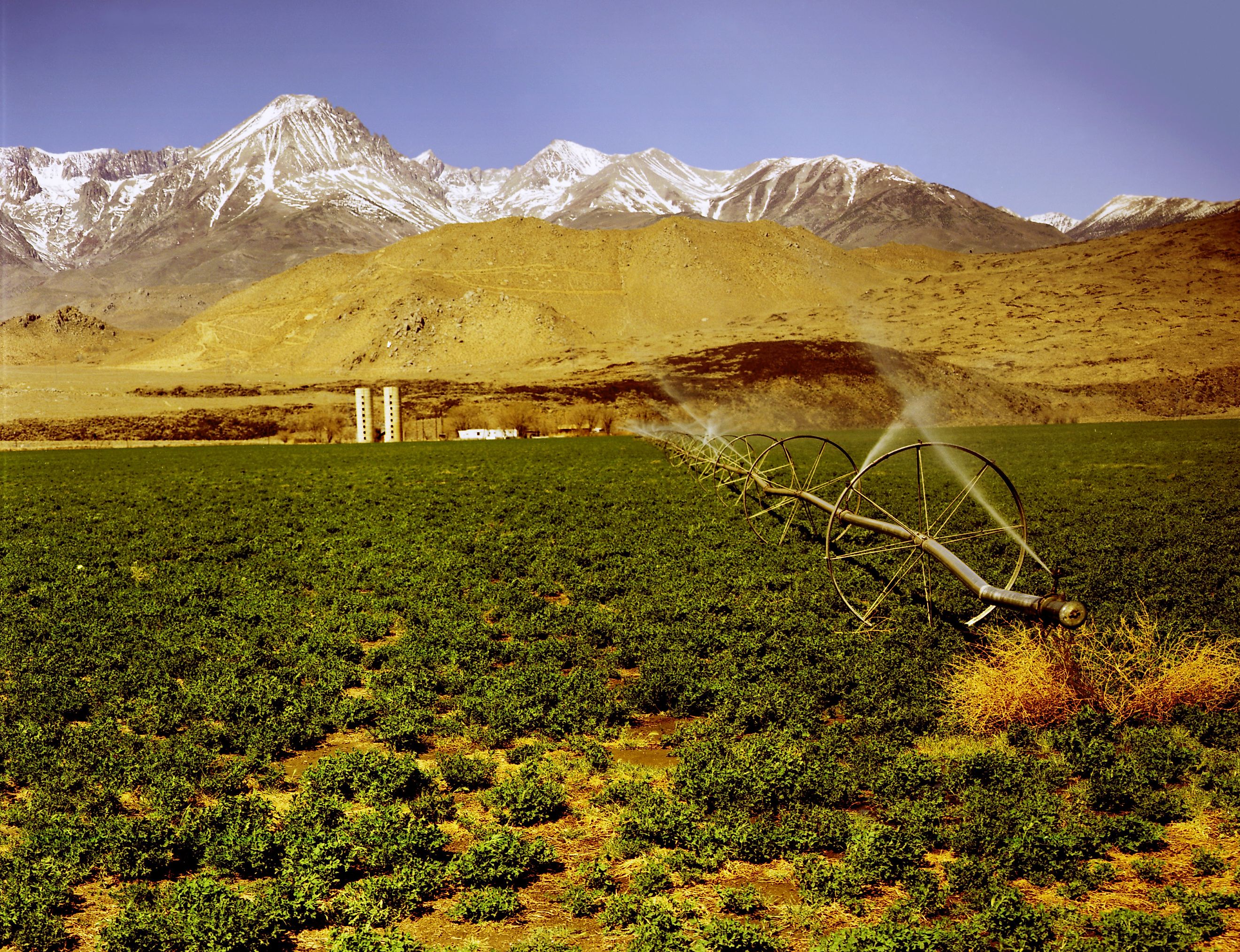 Watering a farm in Imperial Valley, California