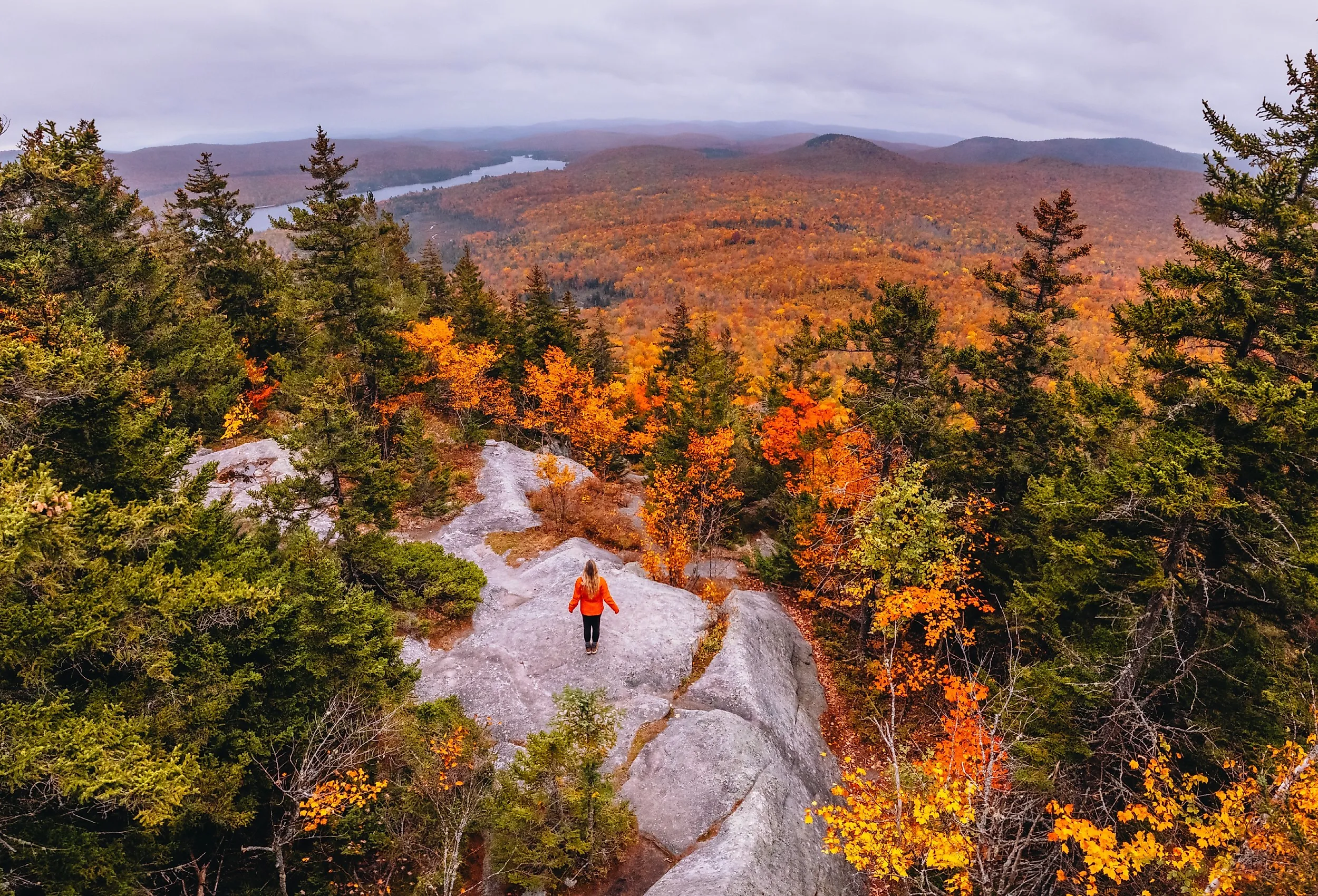 Fall foliage on Owl Head Mountain, Groton State Forest, Vermont.