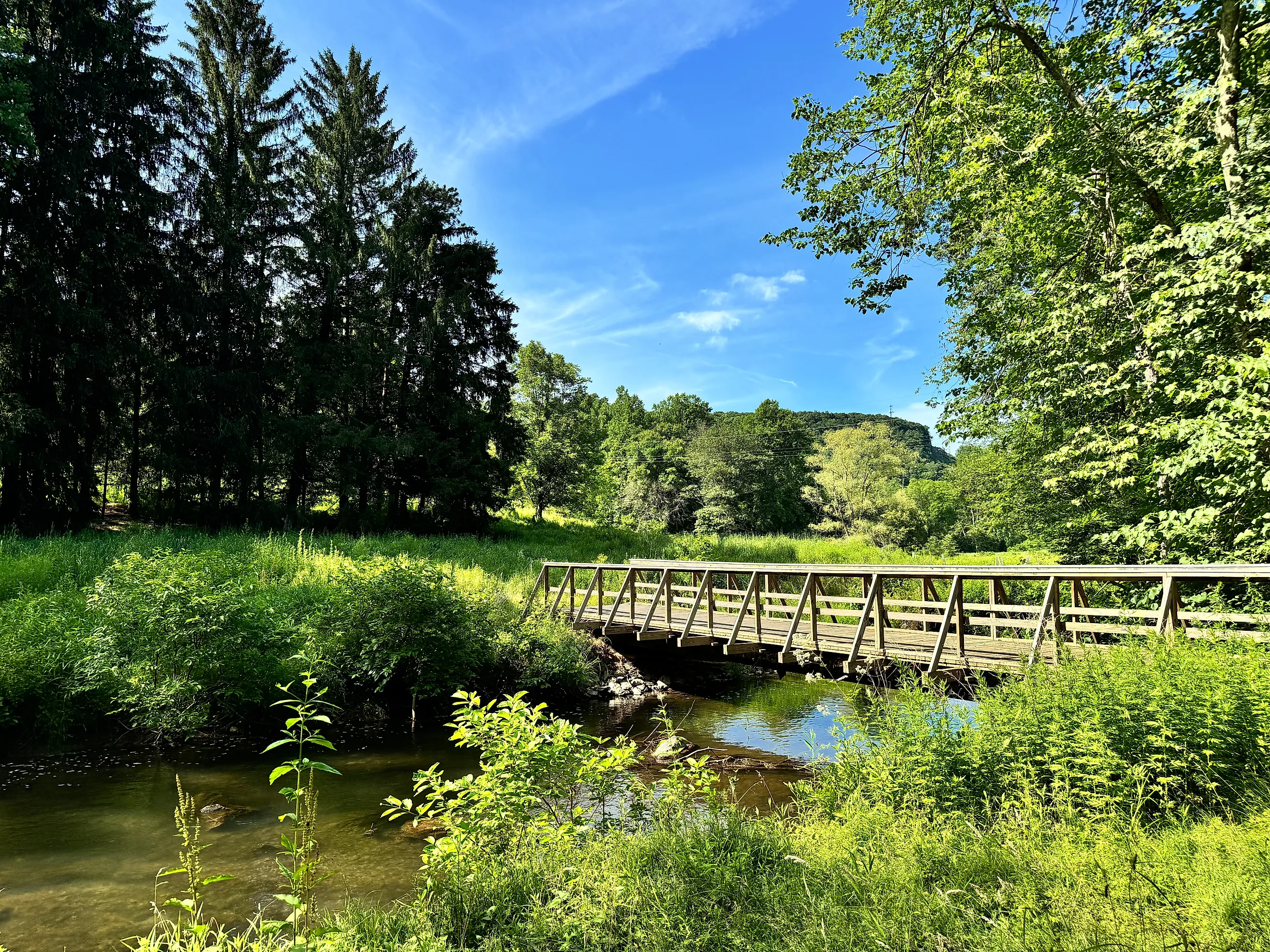 Cherry Valley National Wildlife Refuge near Saylorsburg, Pennsylvania.