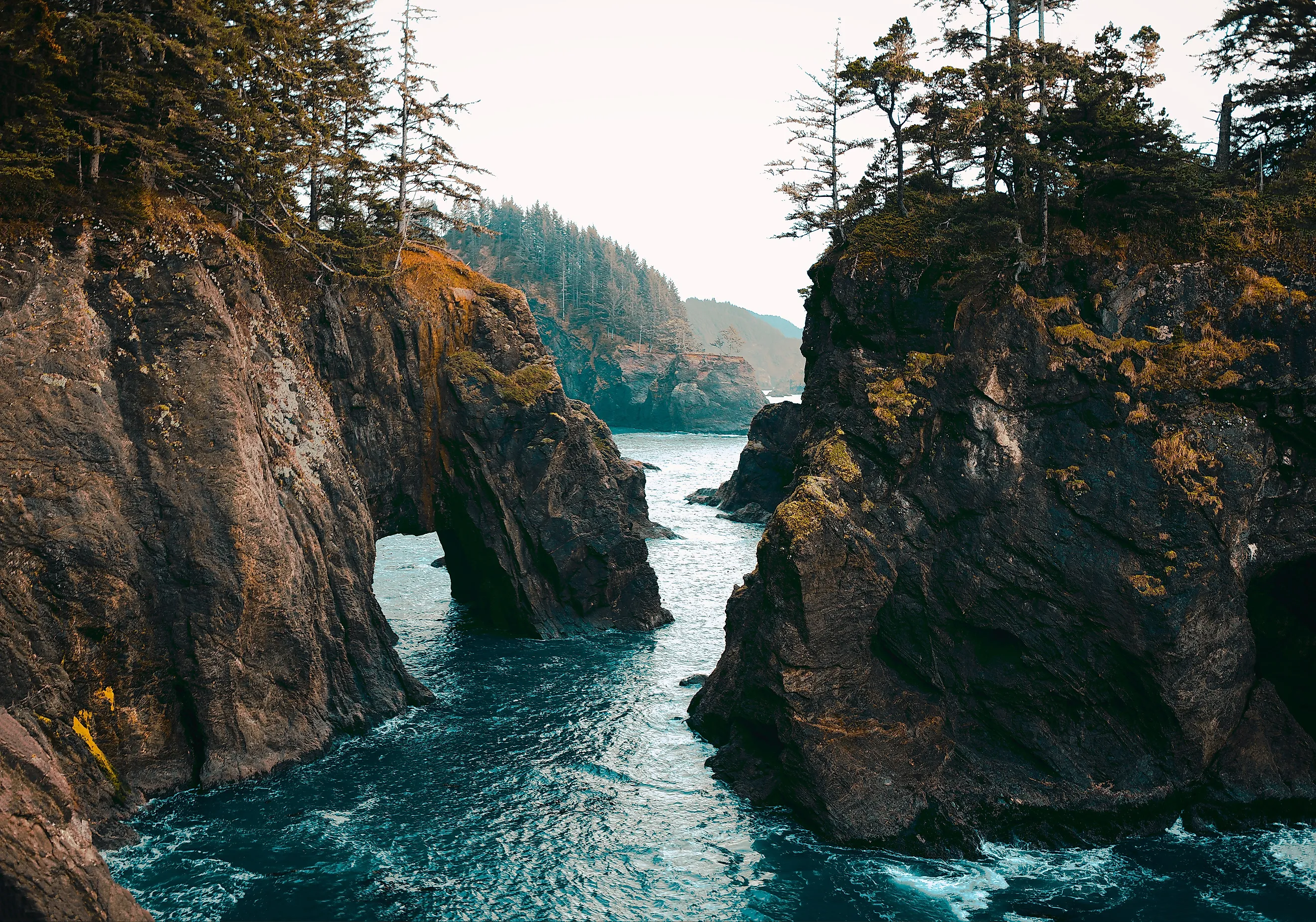 Samuel H. Boardman State Scenic Corridor. Via Shutterstock / Dustin Peters