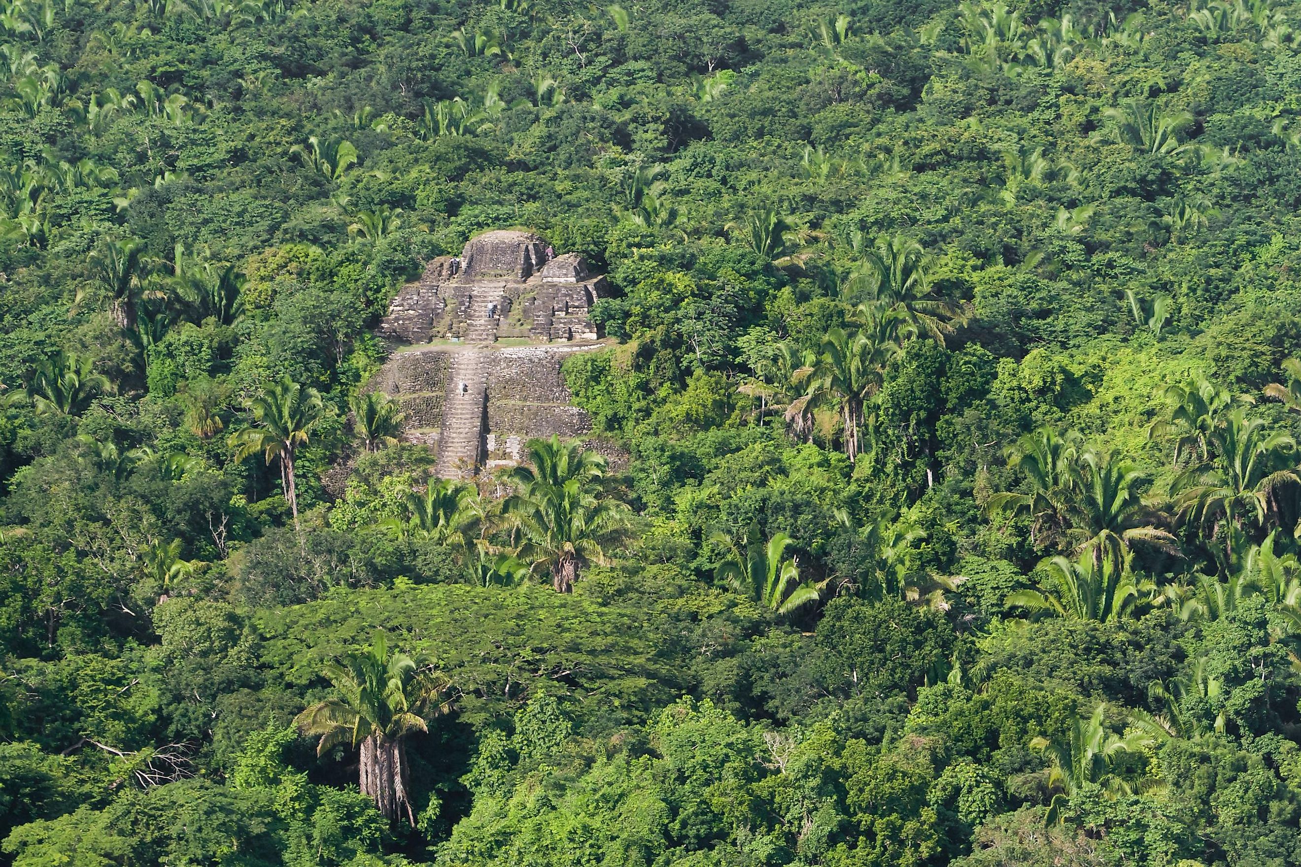 An ancient city of the Maya civilization in the forest.