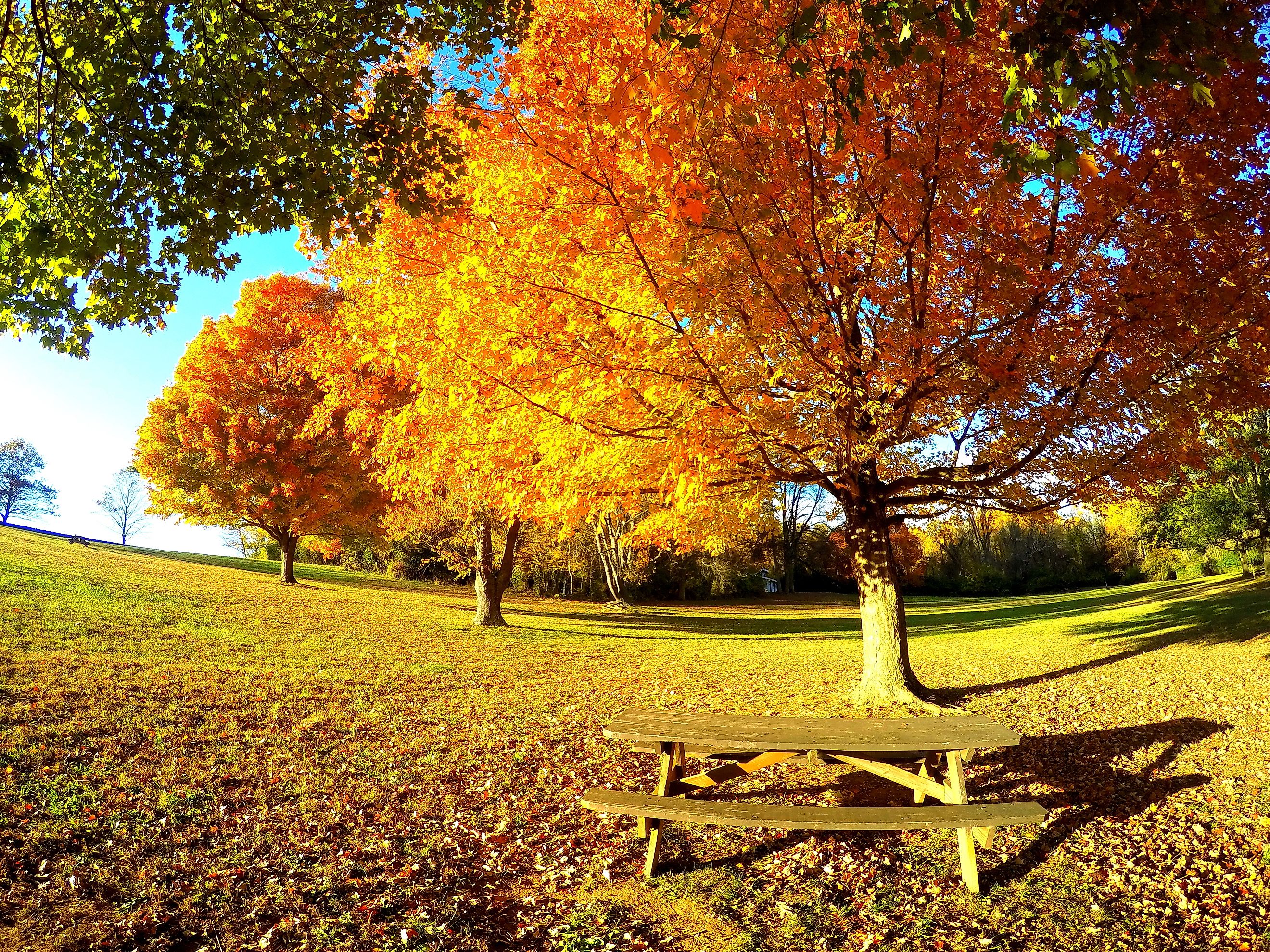 Welcome to Wilmington: pictured here, Brandywine Creek State Park. 