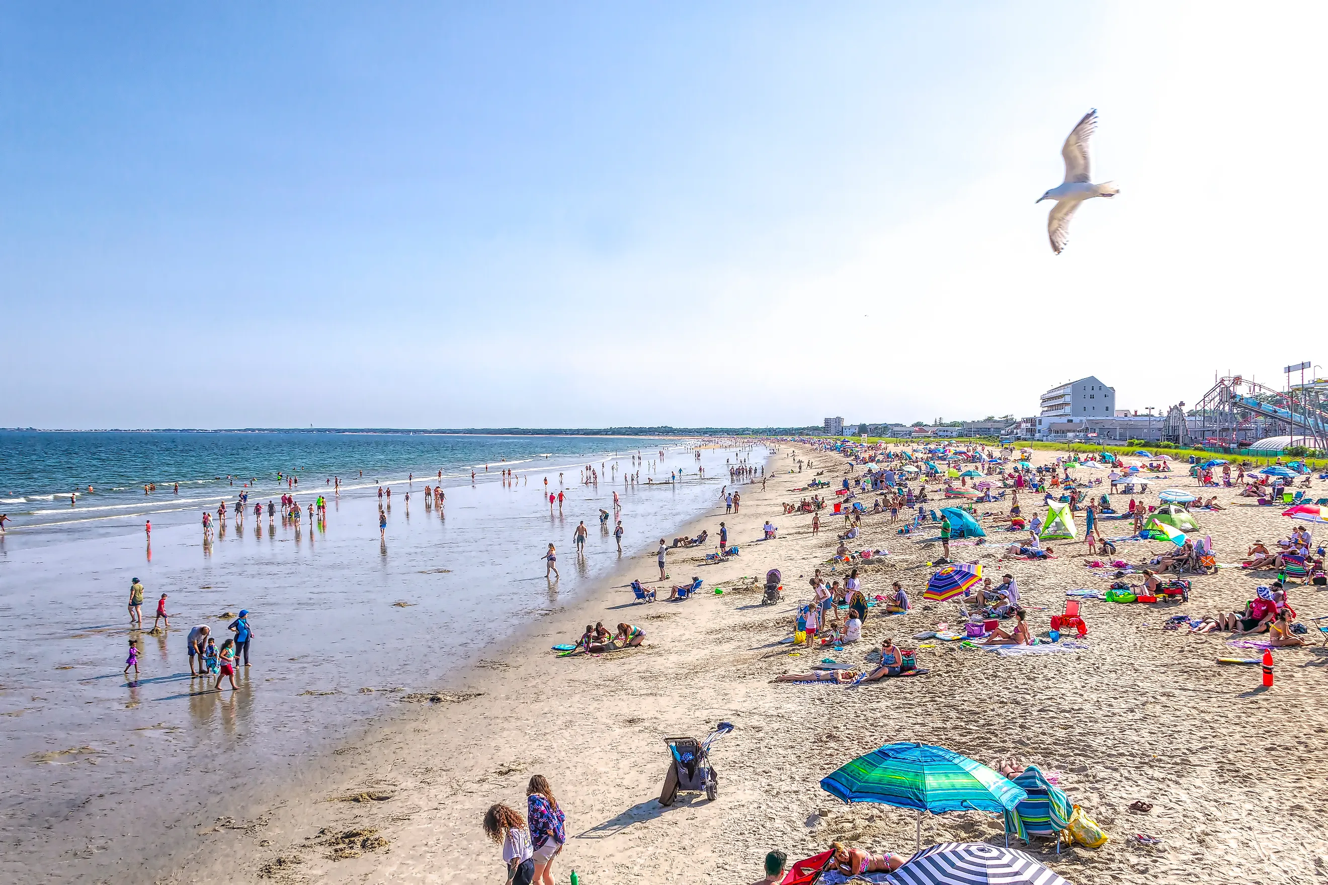 Crowds of people enjoy the sun and surf of Old Orchard Beach in Maine. A single seagull flys over the scene.