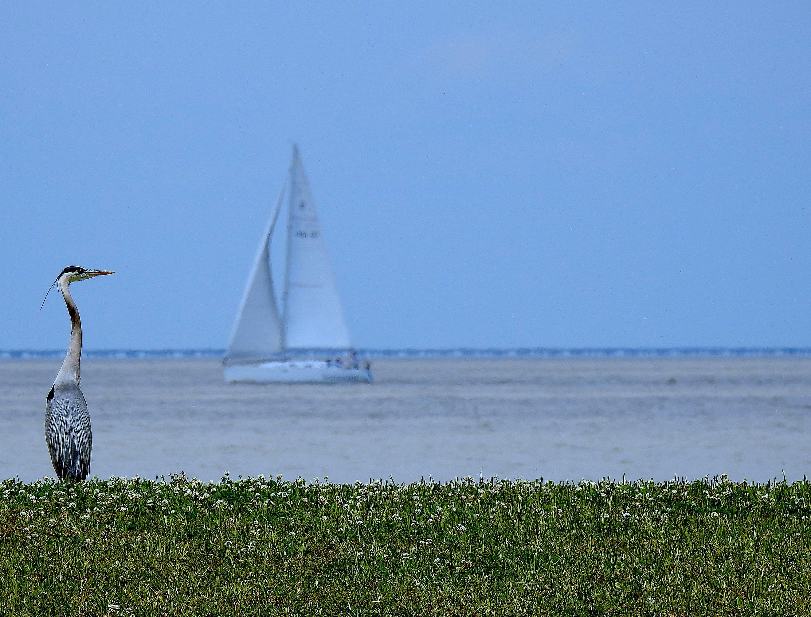 Lake Pontchartrain 