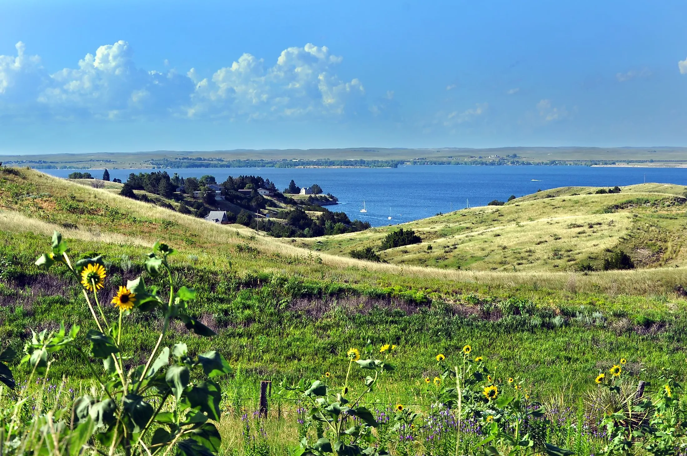 Rolling Nebraska grassland slopes down to blue Lake McConaughy, Nebraska.