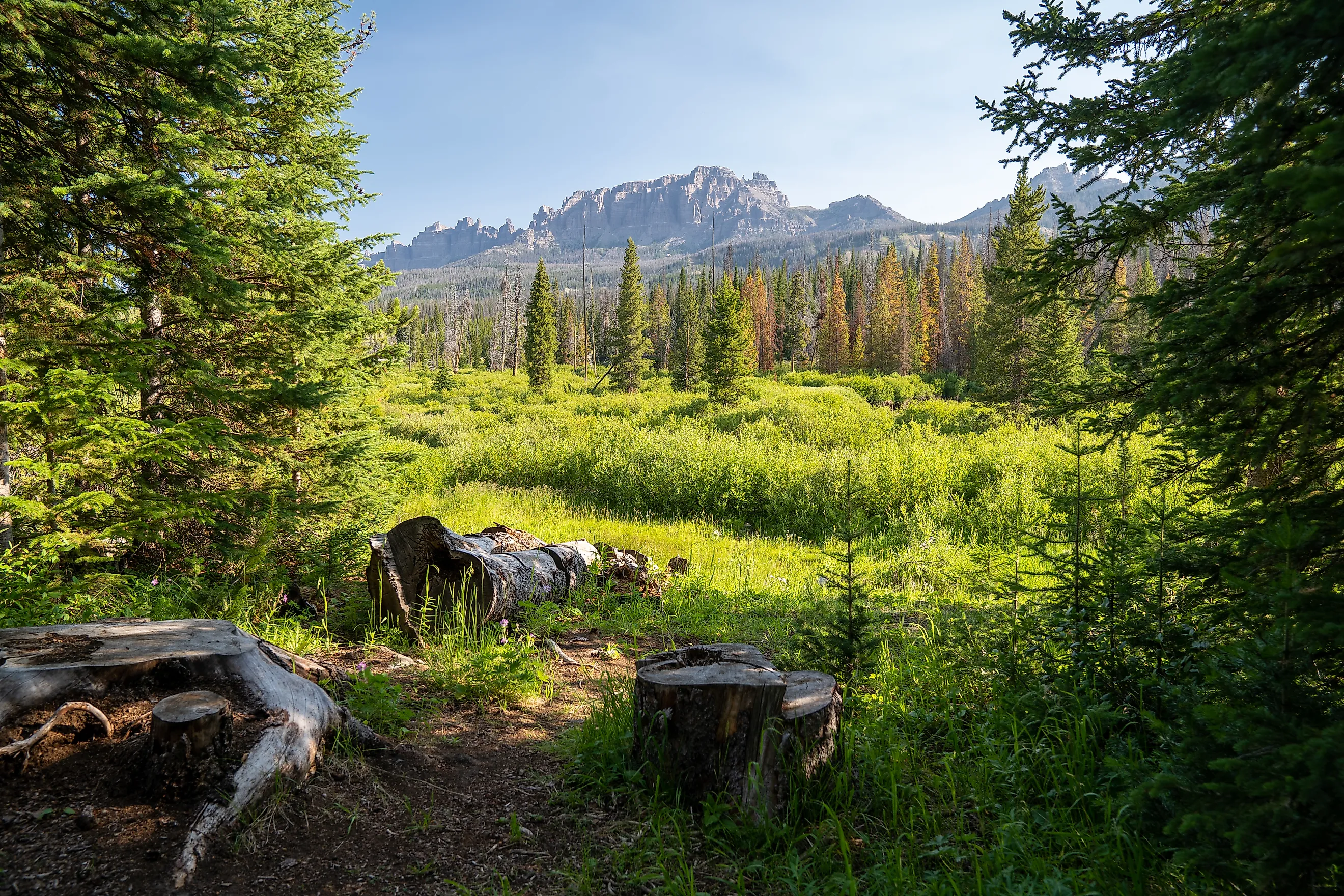 Beautiful summer view of Shoshone National Forest, in the Brooks Falls area near Dubois. 