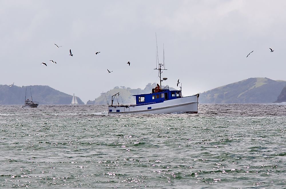 Fishing boats within the EEZ of New Zealand. Editorial credit: ChameleonsEye / Shutterstock.com