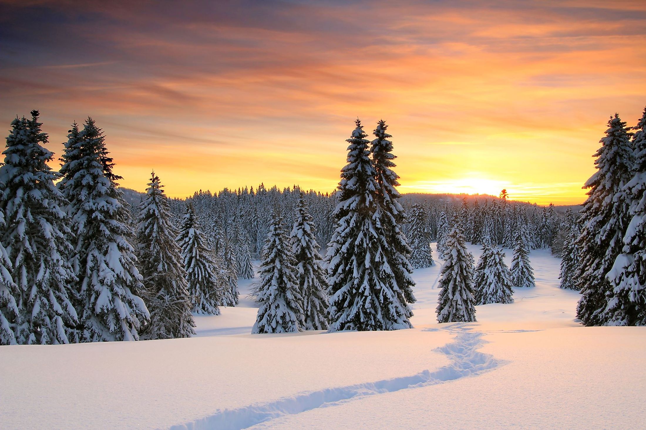 Winter sunset in the Jura Mountains, Canton of Vaud, Western Switzerland. 